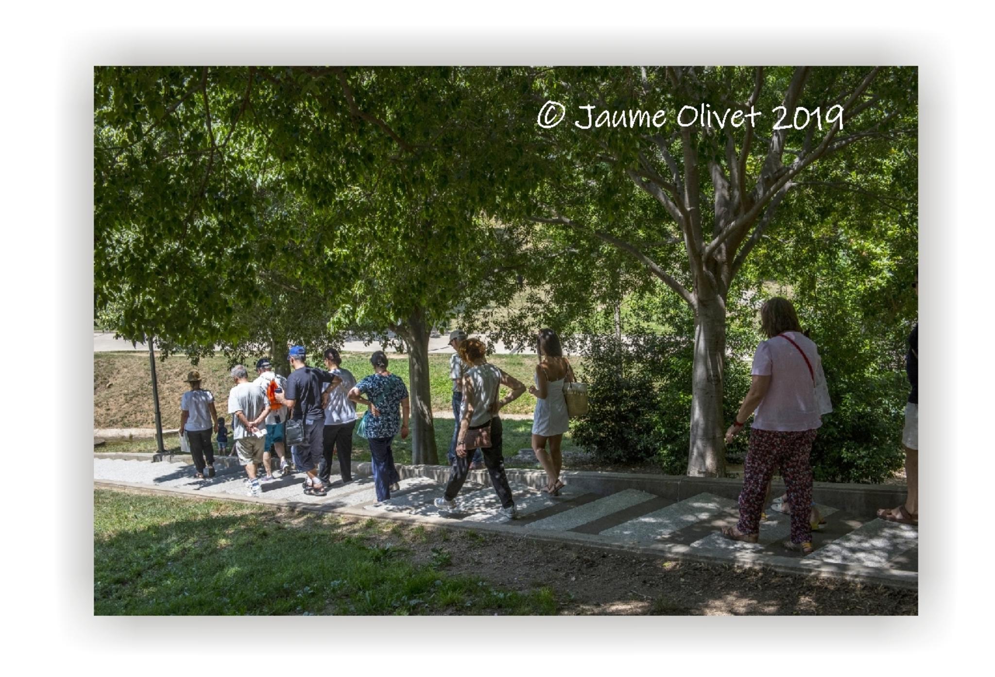  Jaume Olivet 2019