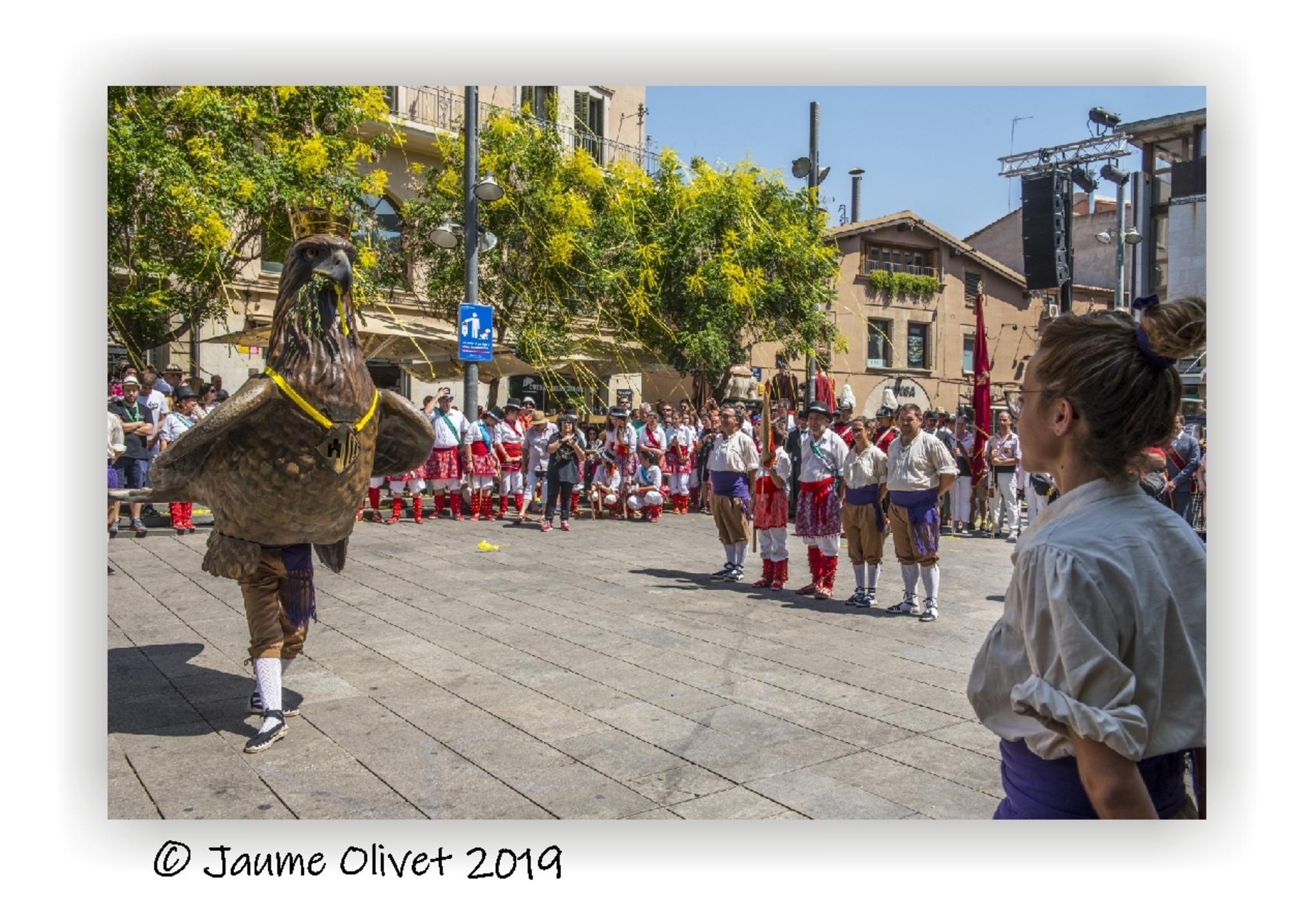  Jaume Olivet 2019