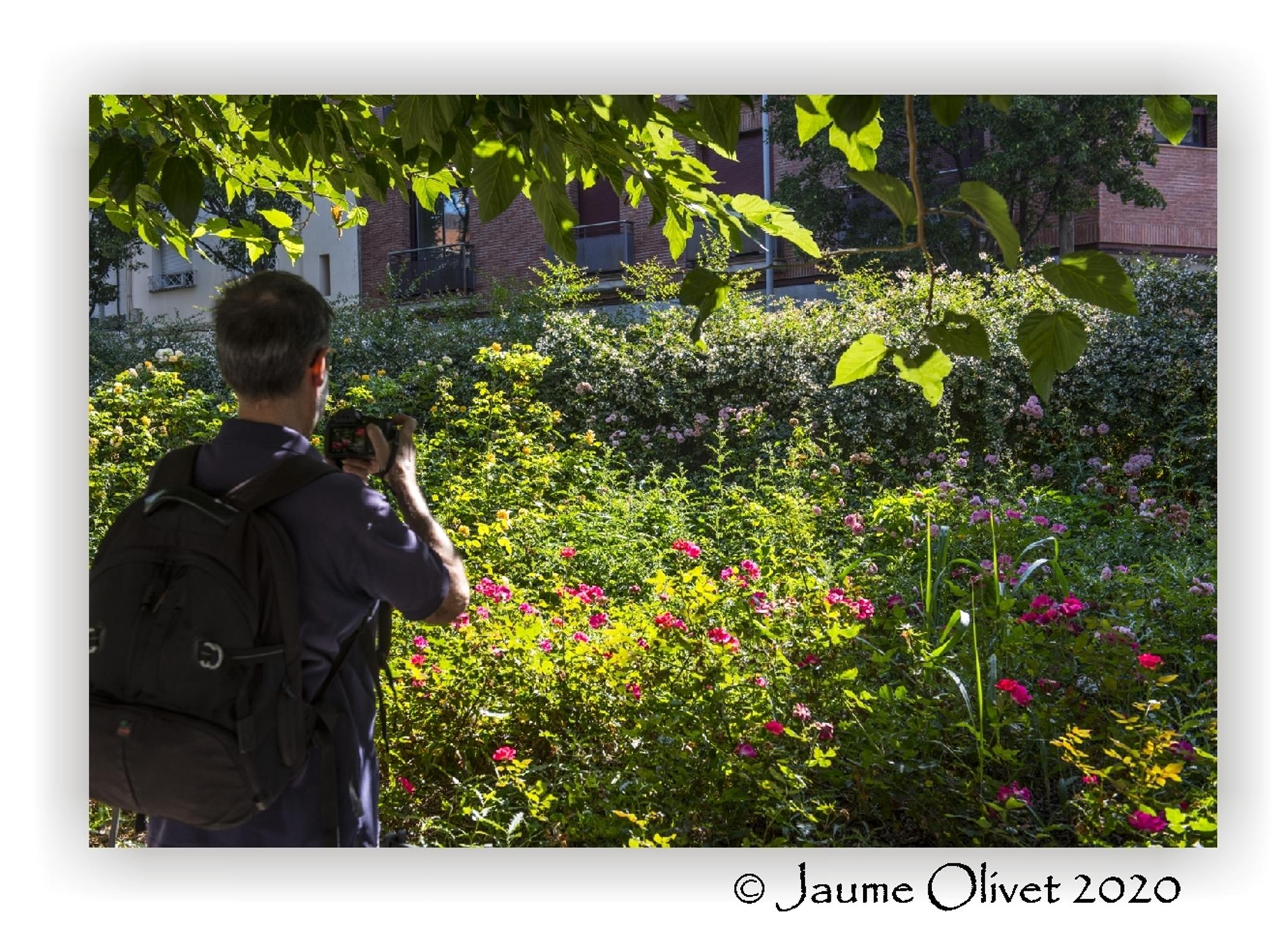  Jaume Olivet 2020