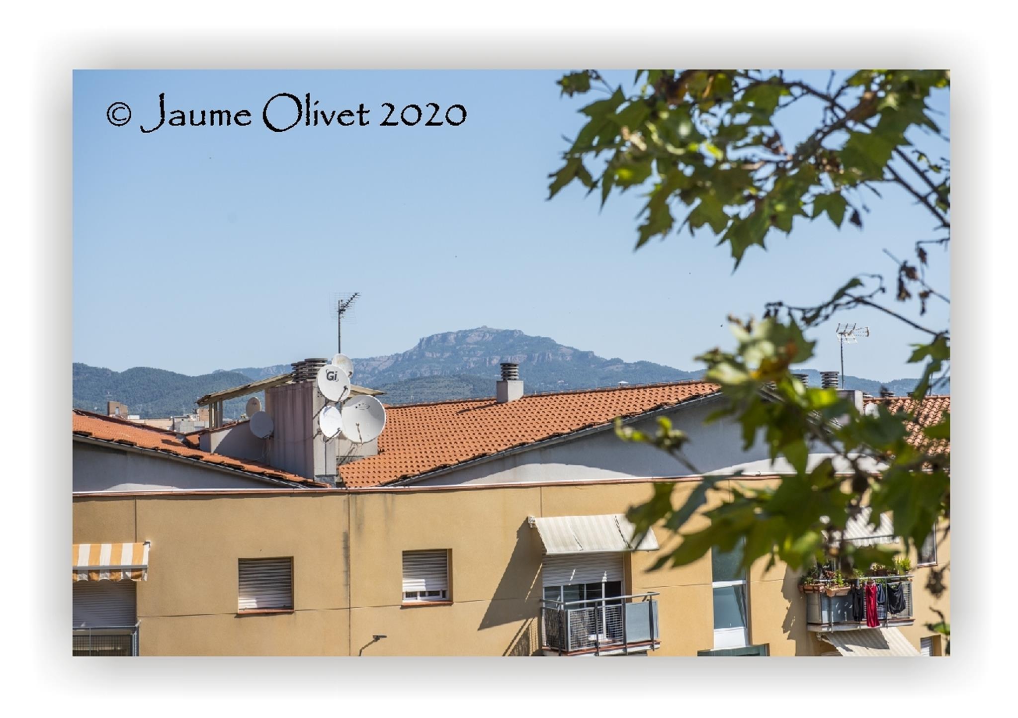  Jaume Olivet 2020