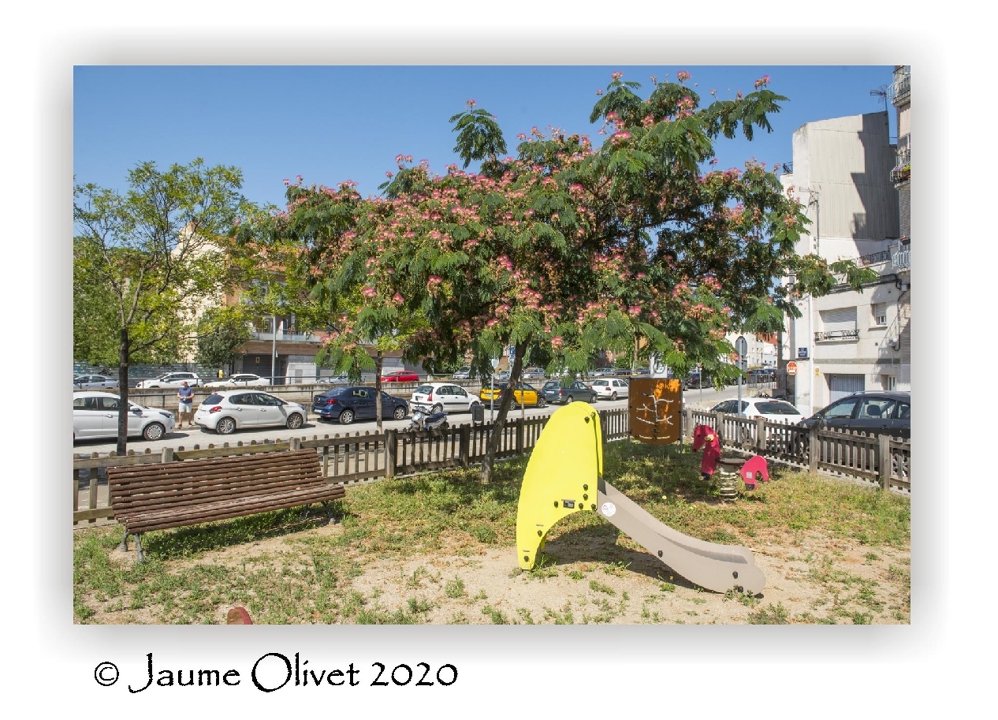  Jaume Olivet 2020
