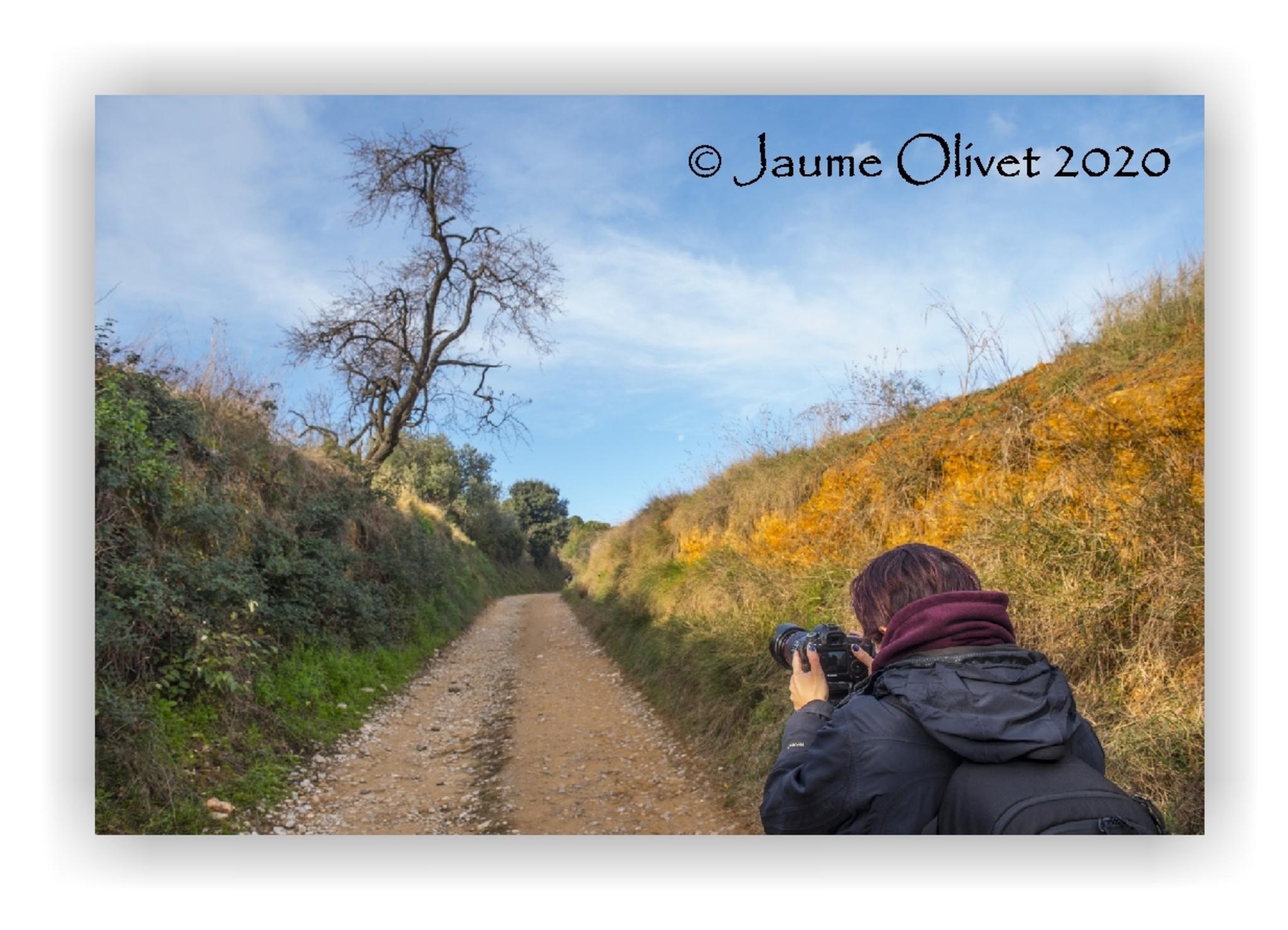  Jaume Olivet 2020