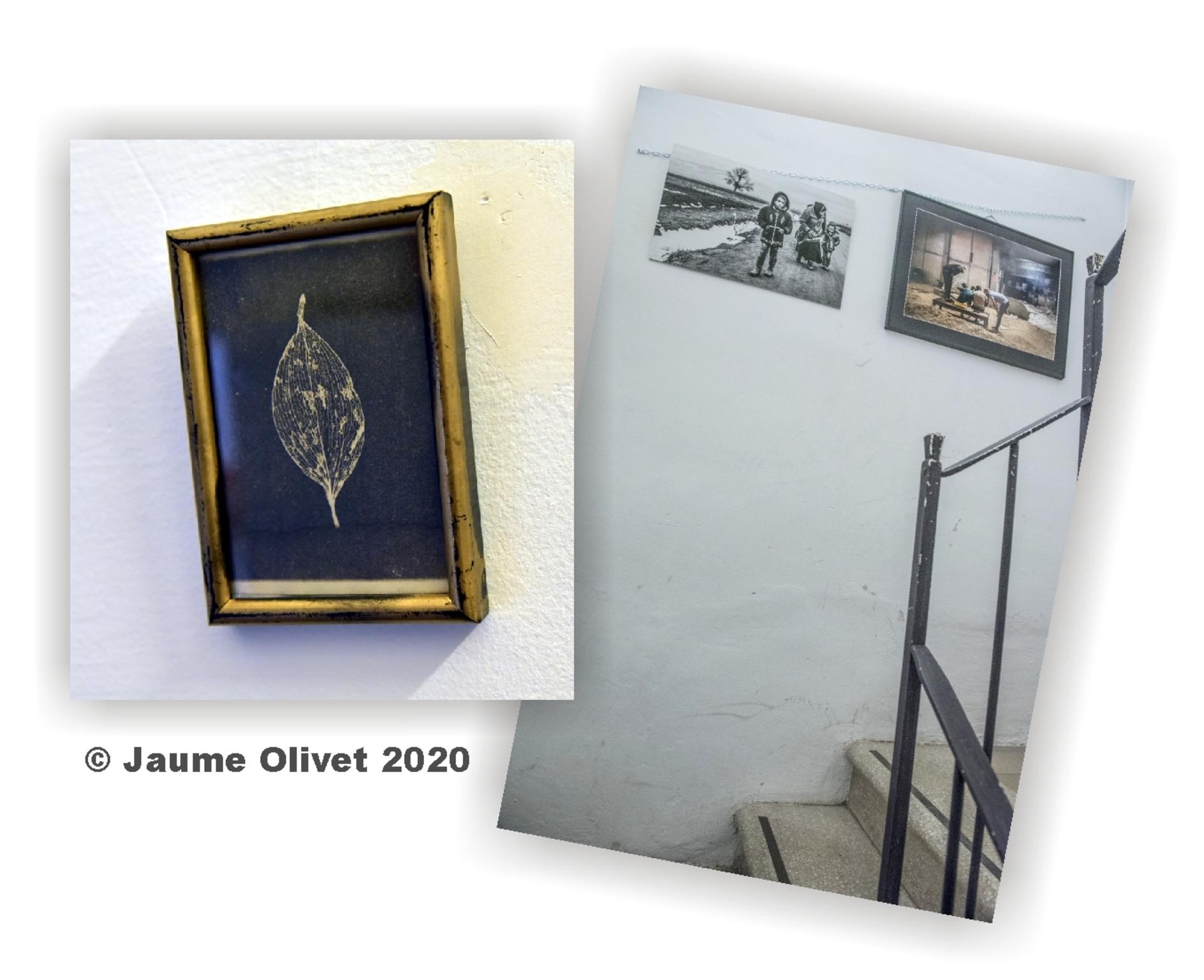 © Jaume Olivet 2020