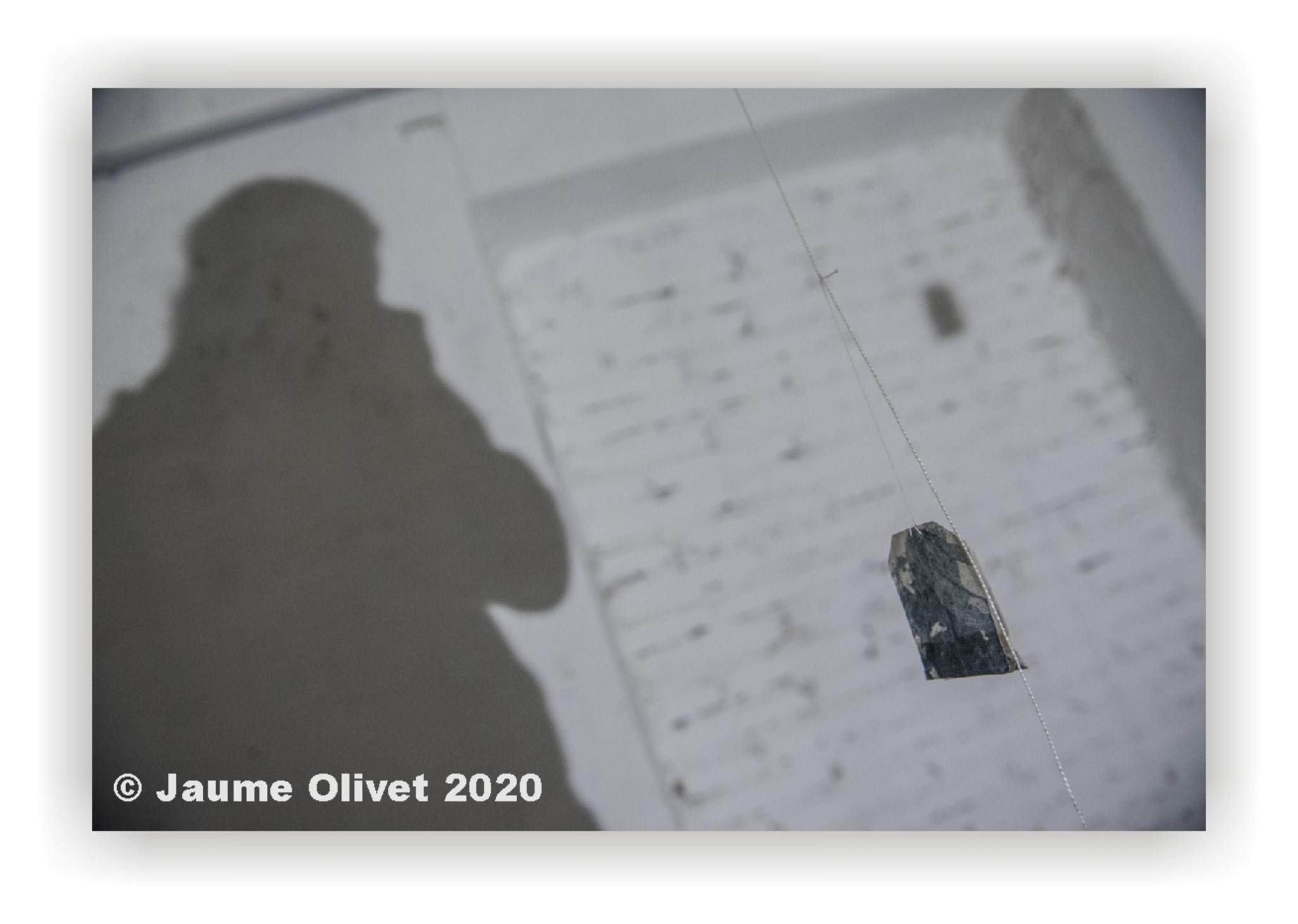 © Jaume Olivet 2020