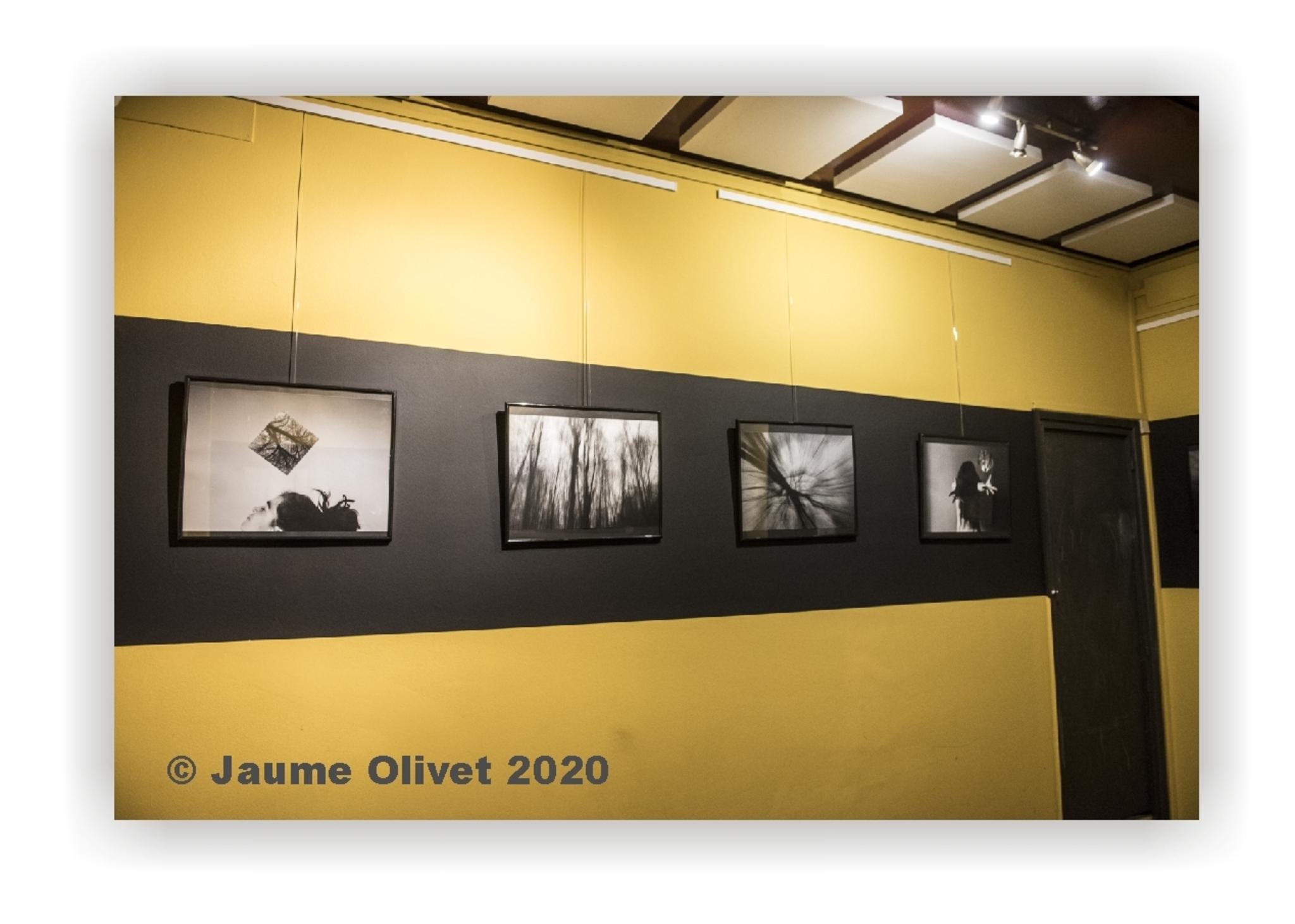 © Jaume Olivet 2020