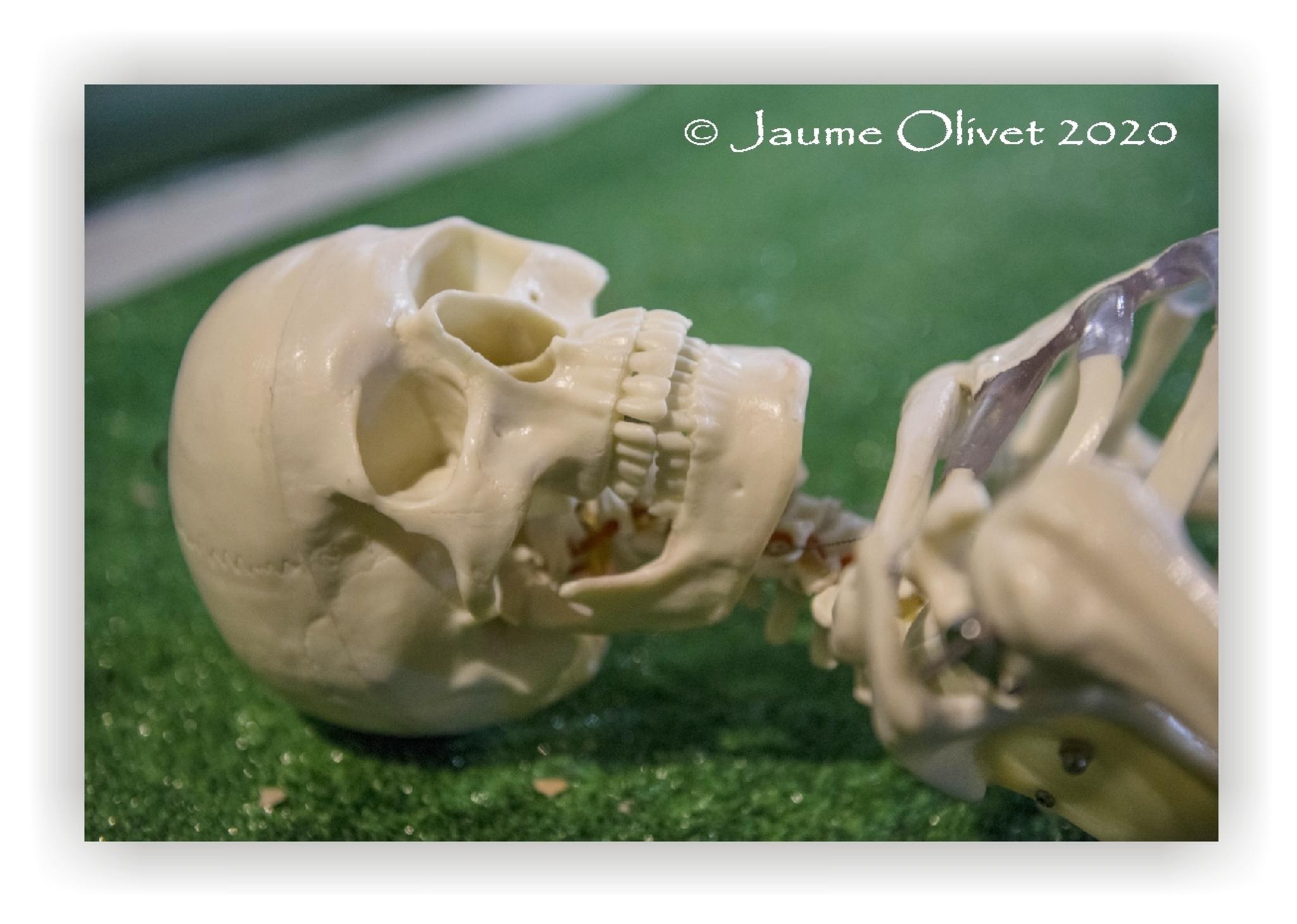  Jaume Olivet 2020