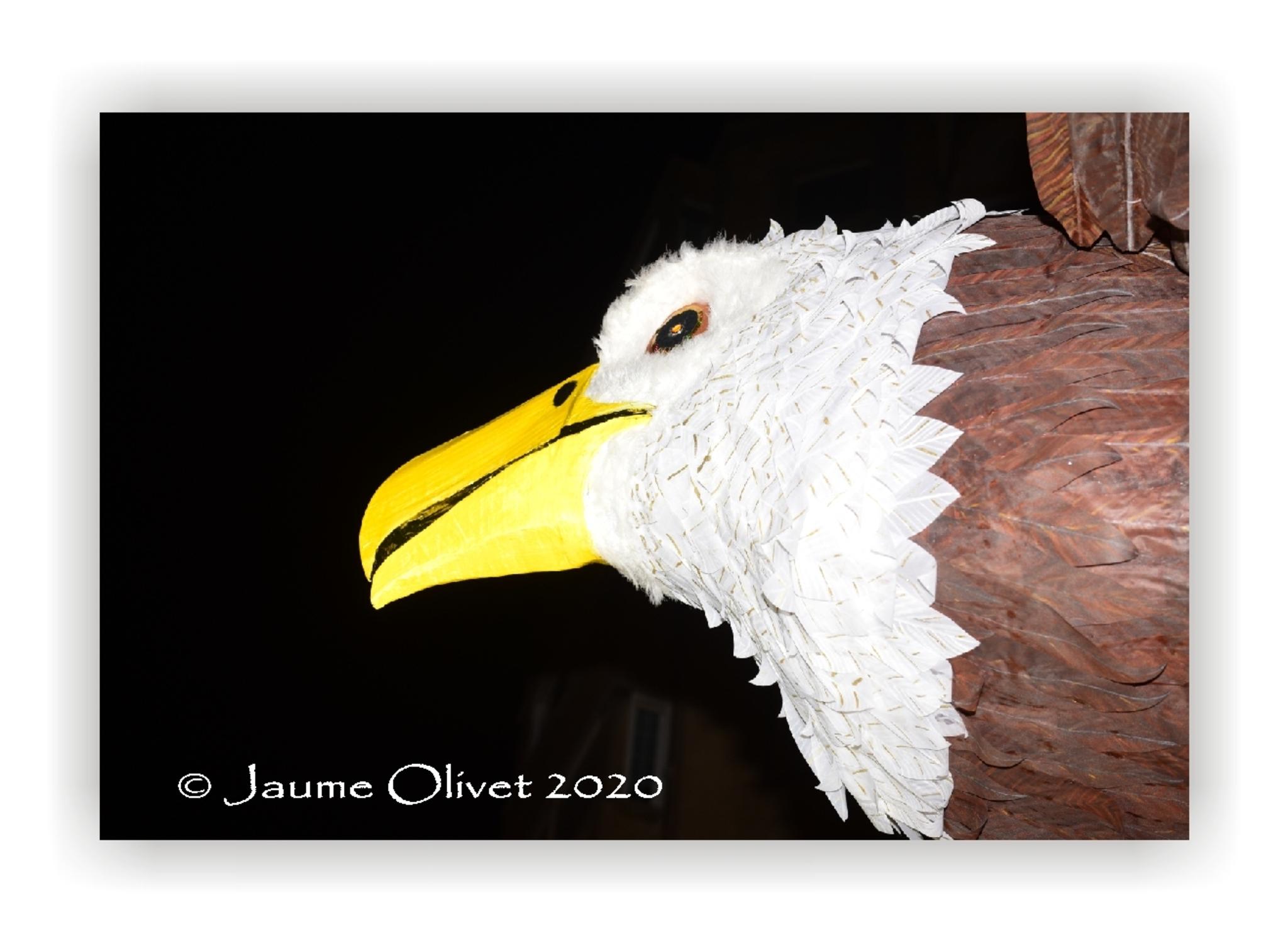  Jaume Olivet 2020