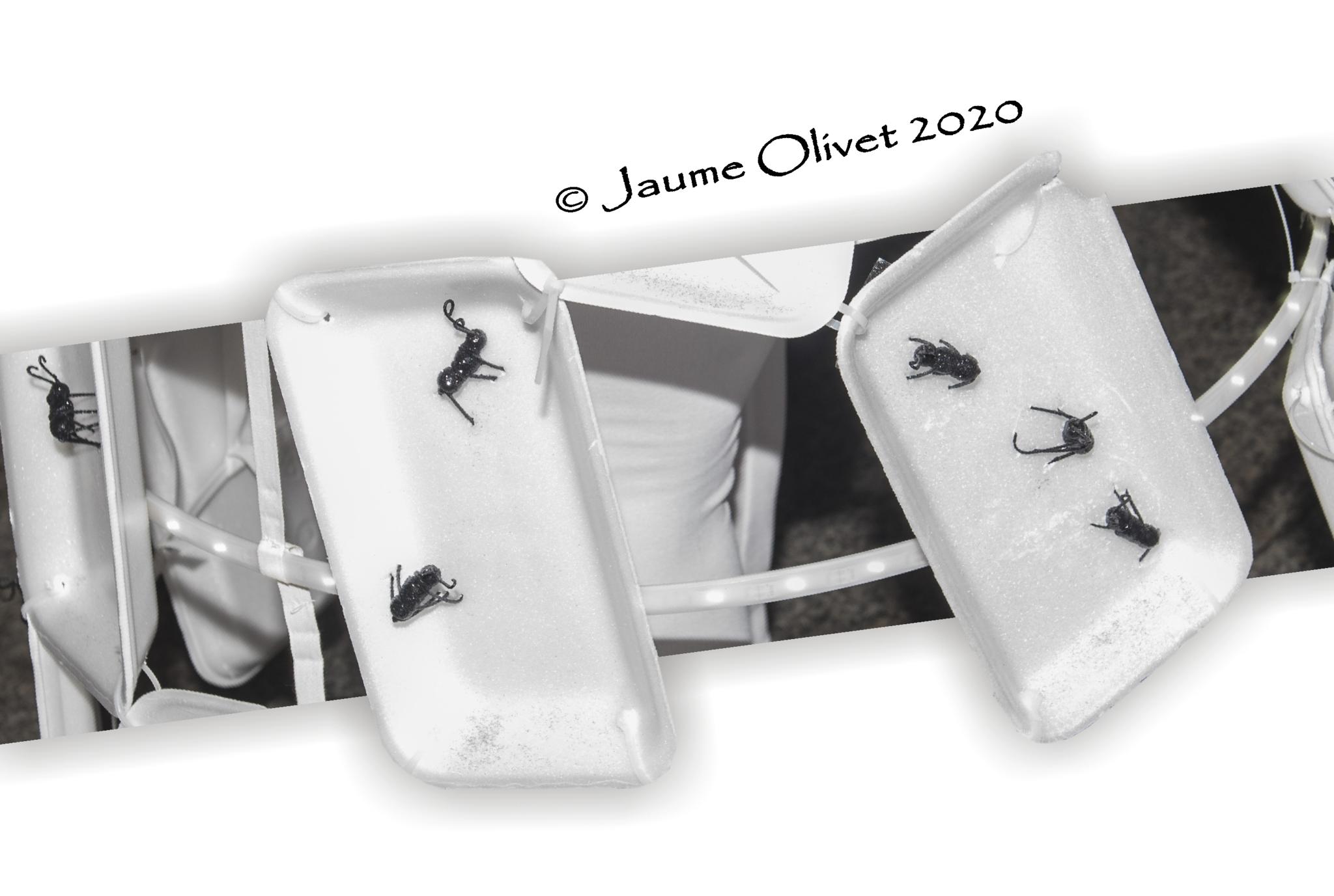  Jaume Olivet 2020