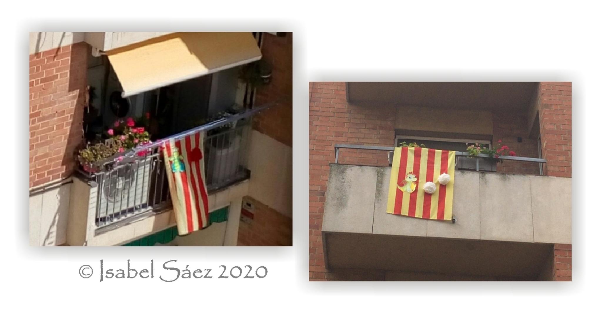  Jaume Virus 2020