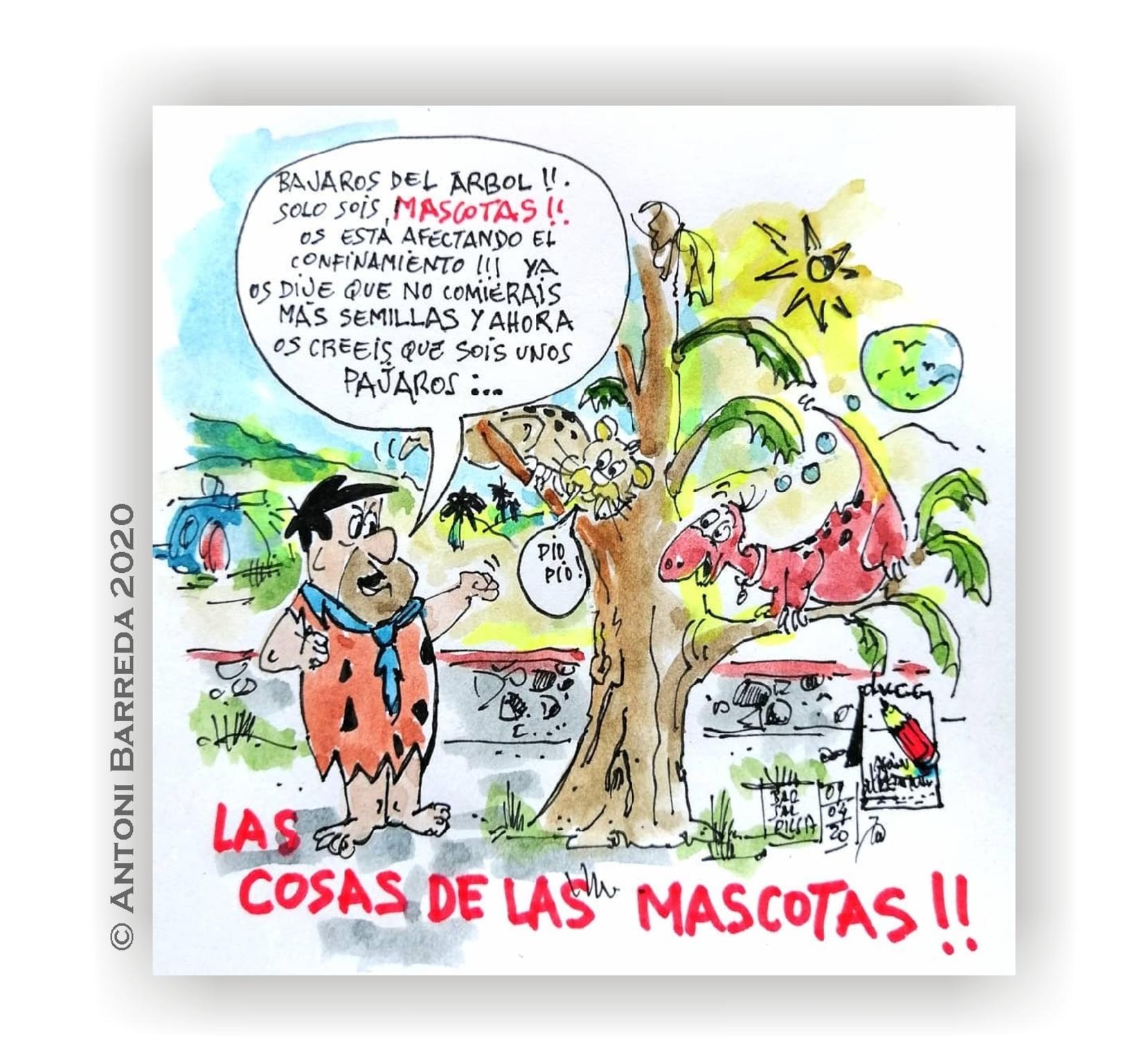  Antoni Barreda 2020