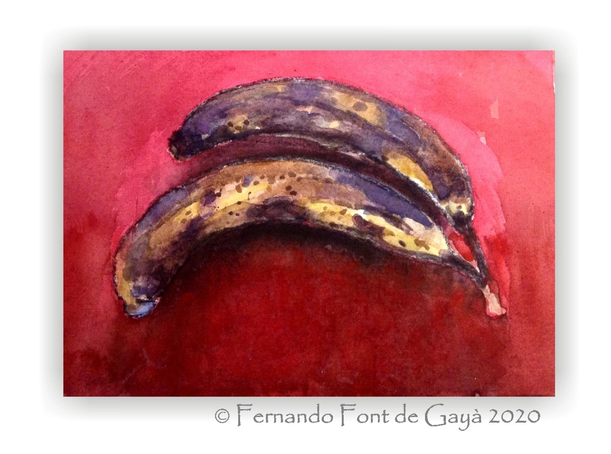  Fernando Font de Gay 2020