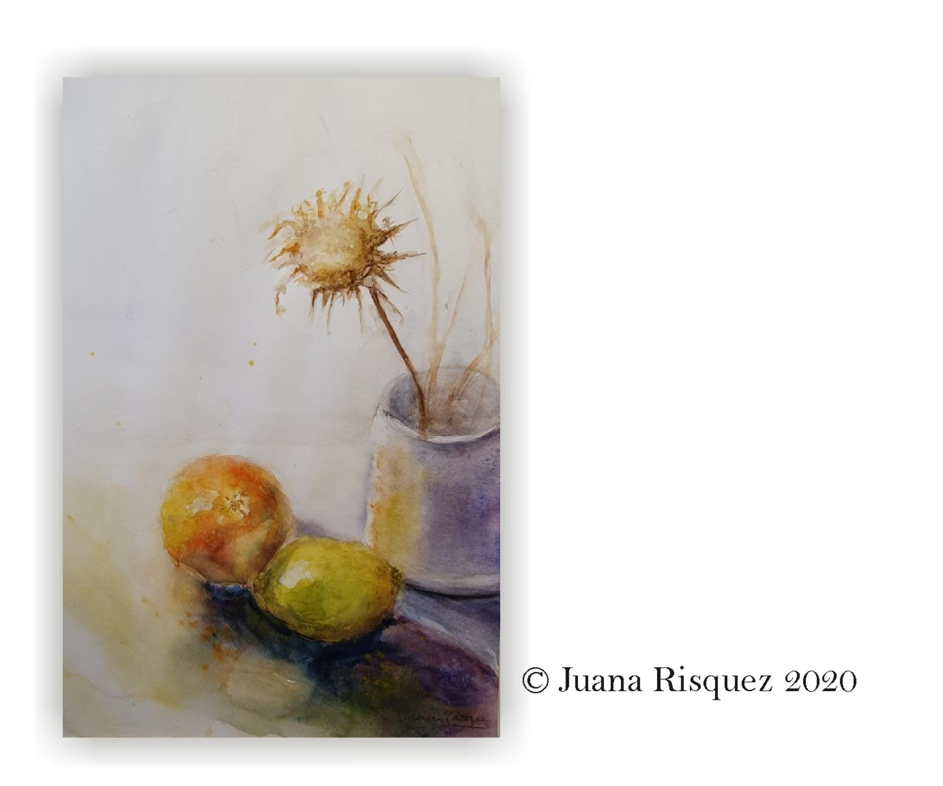  Juana Risquez 2020