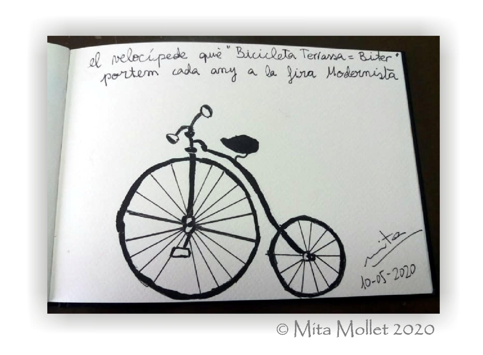  Mita Mollet 2020