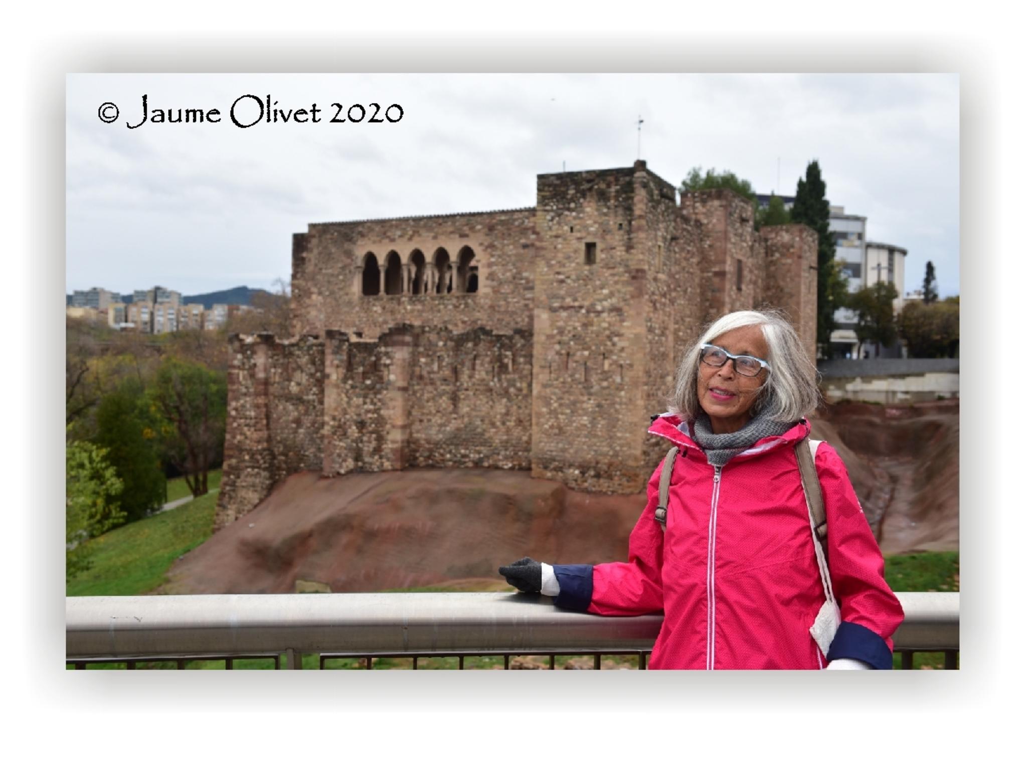  Jaume Olivet 2020