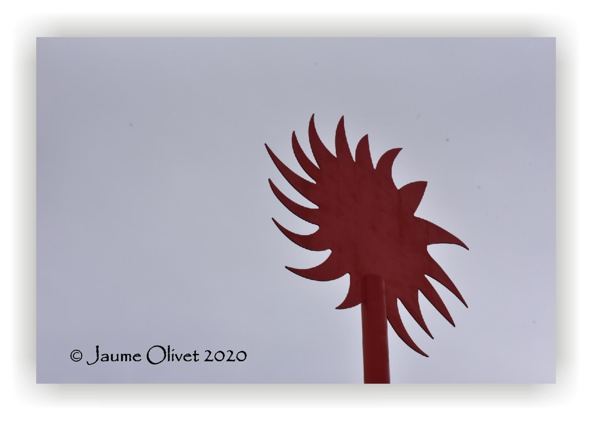  Jaume Olivet 2020