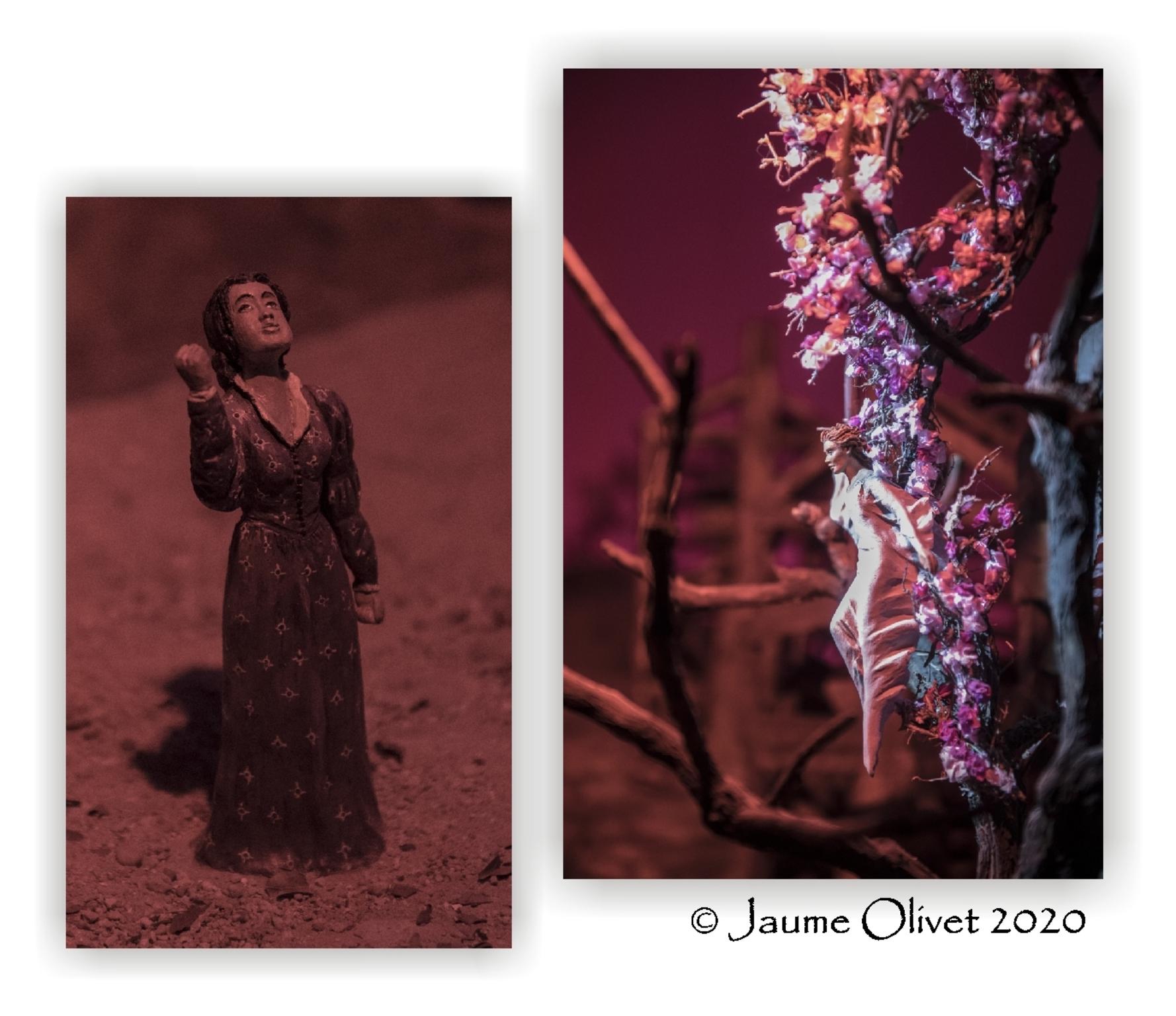 Jaume Olivet 2020