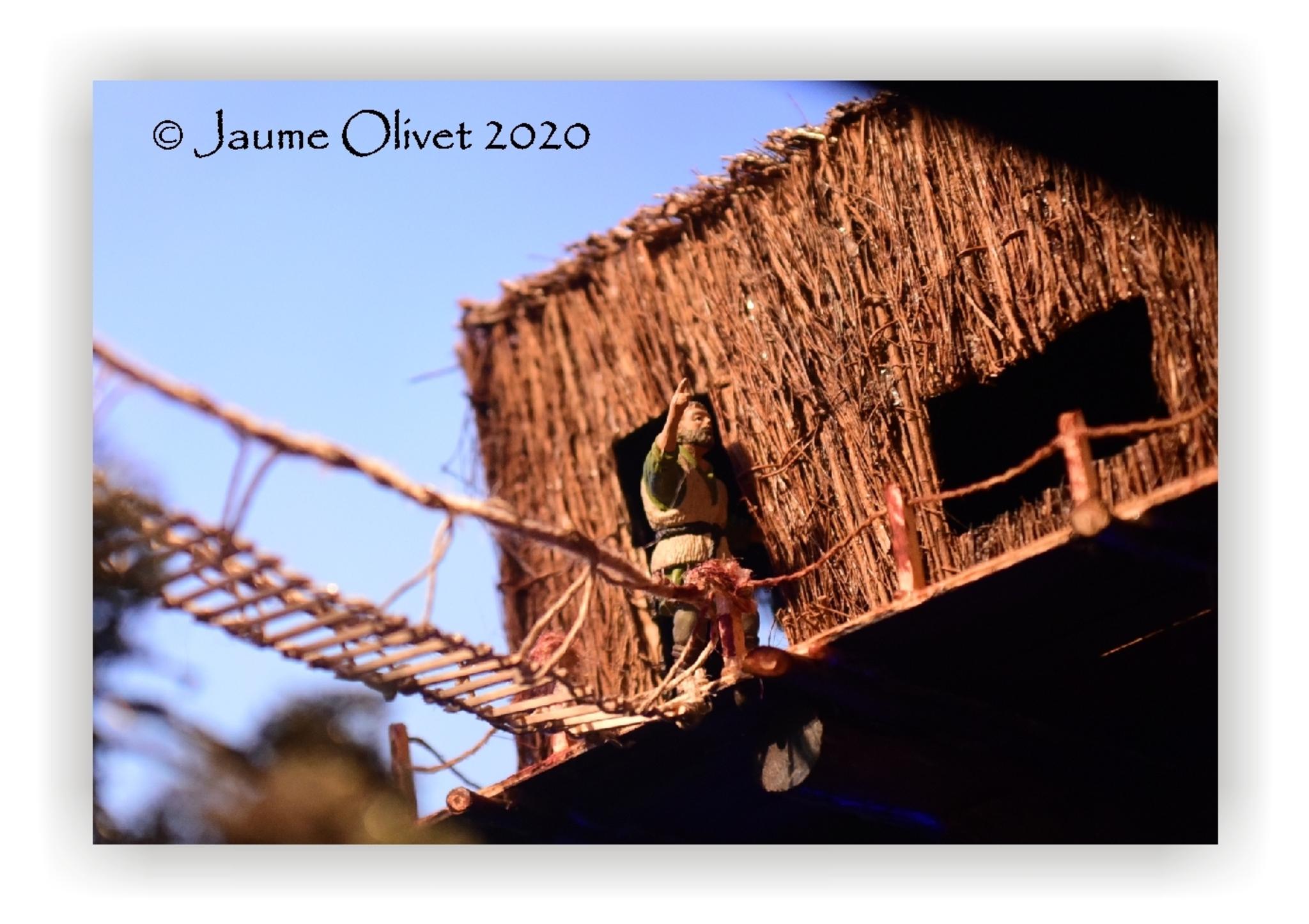  Jaume Olivet 2020