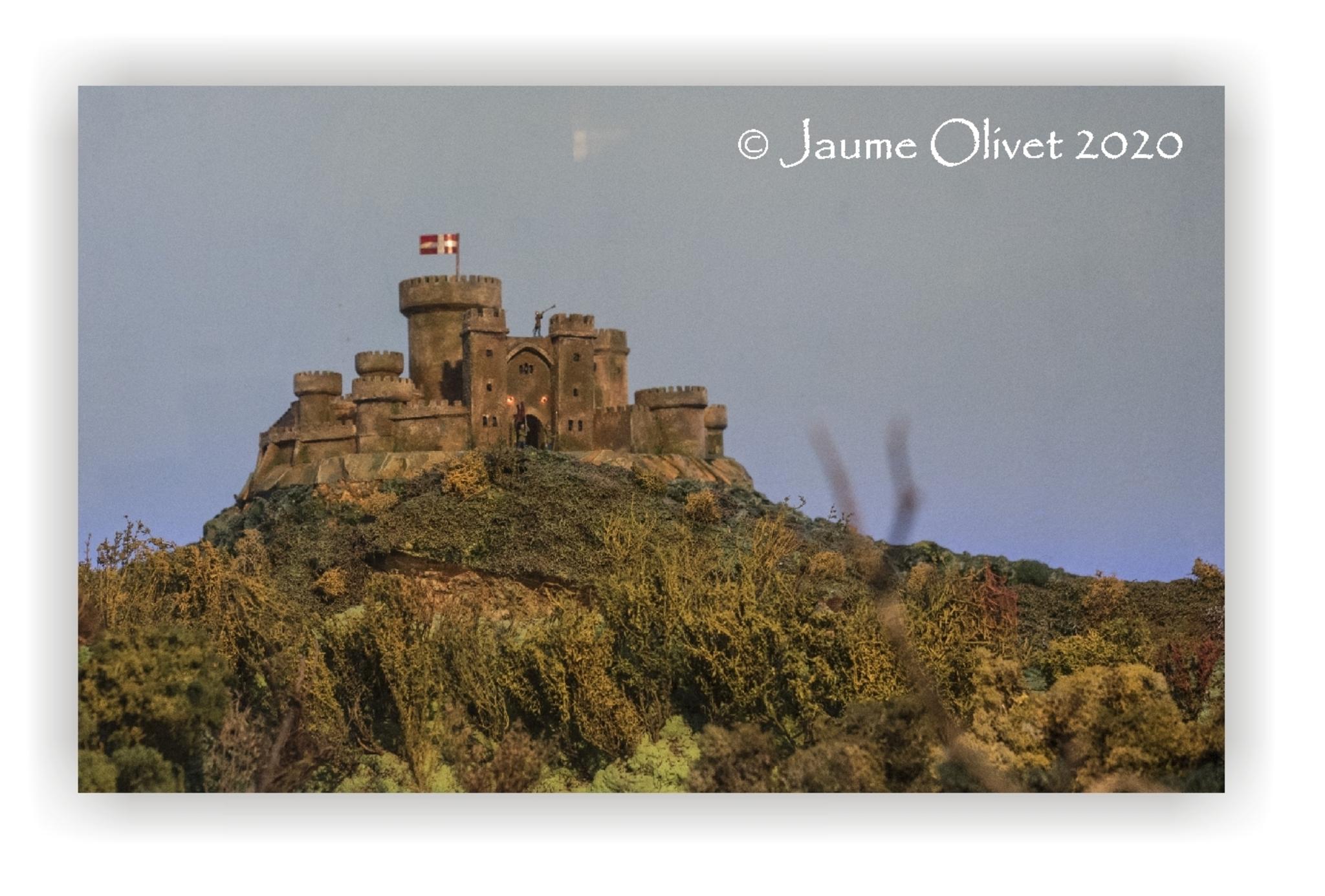  Jaume Olivet 2020