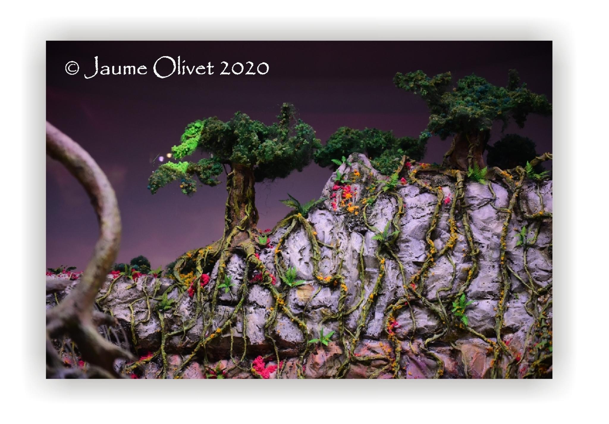  Jaume Olivet 2020