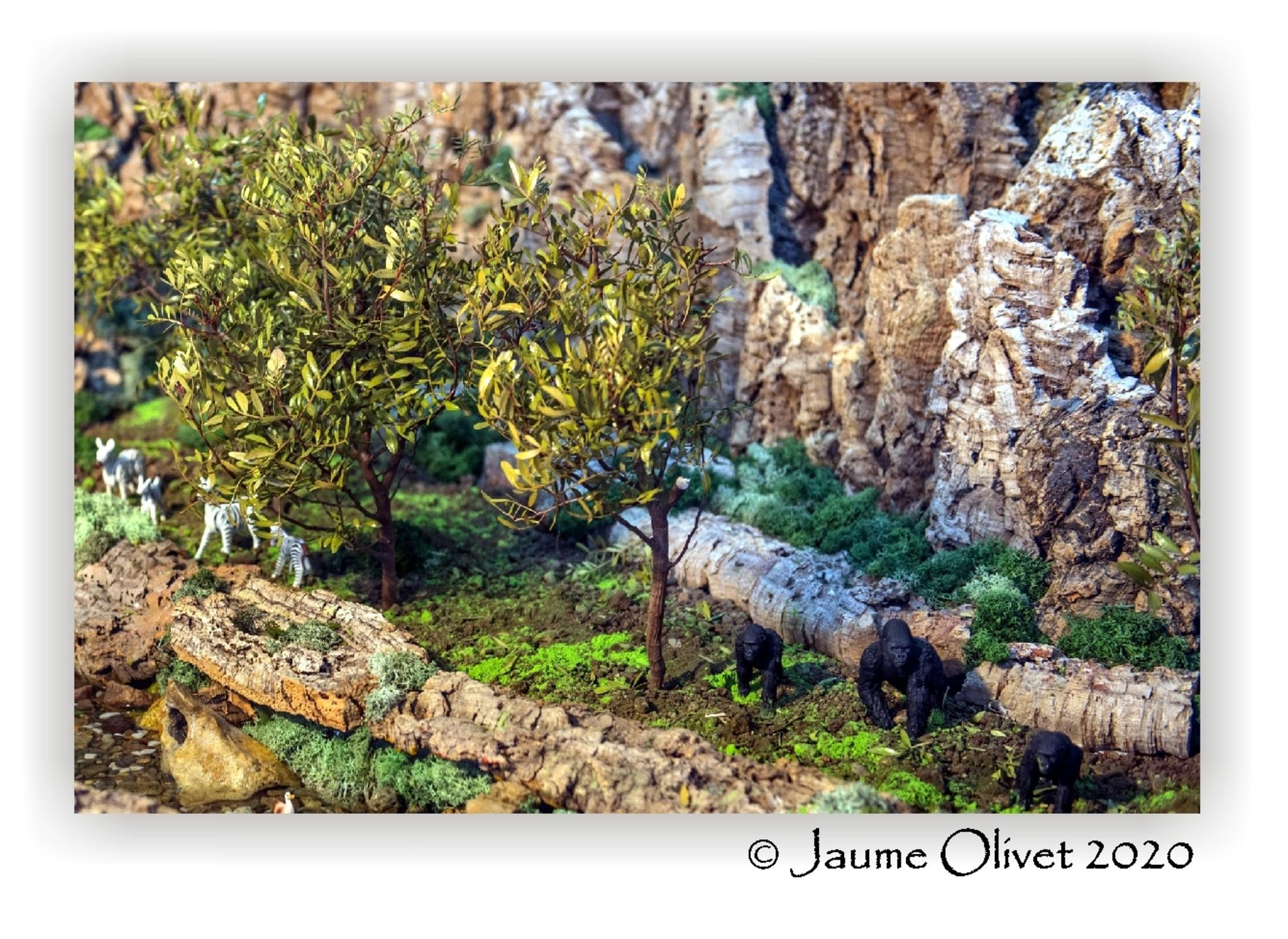  Jaume Olivet 2020