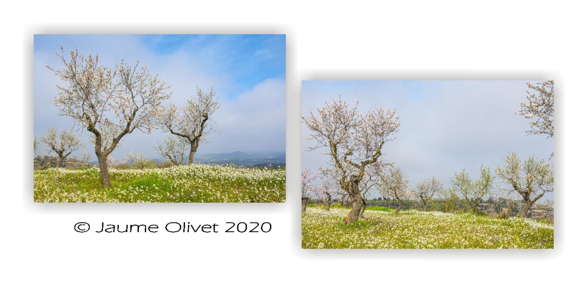  Jaume Olivet 2020