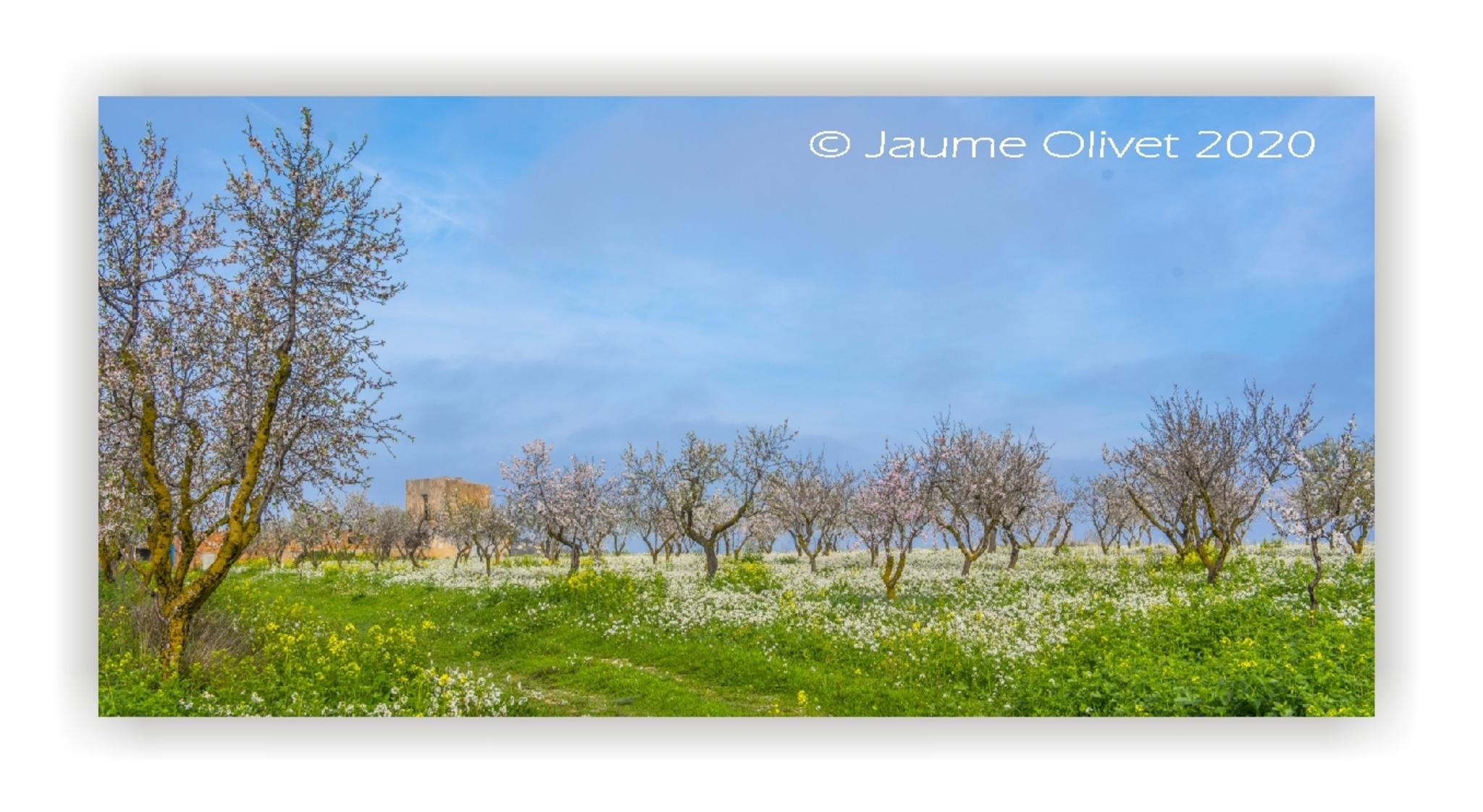  Jaume Olivet 2020
