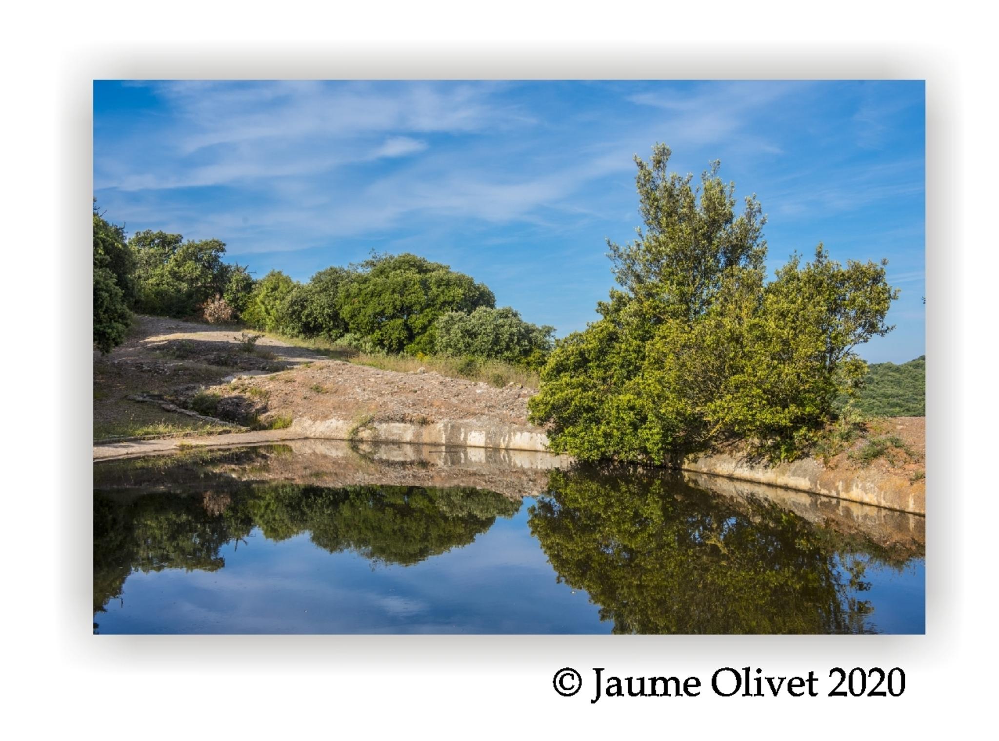  Jaume Olivet 2020