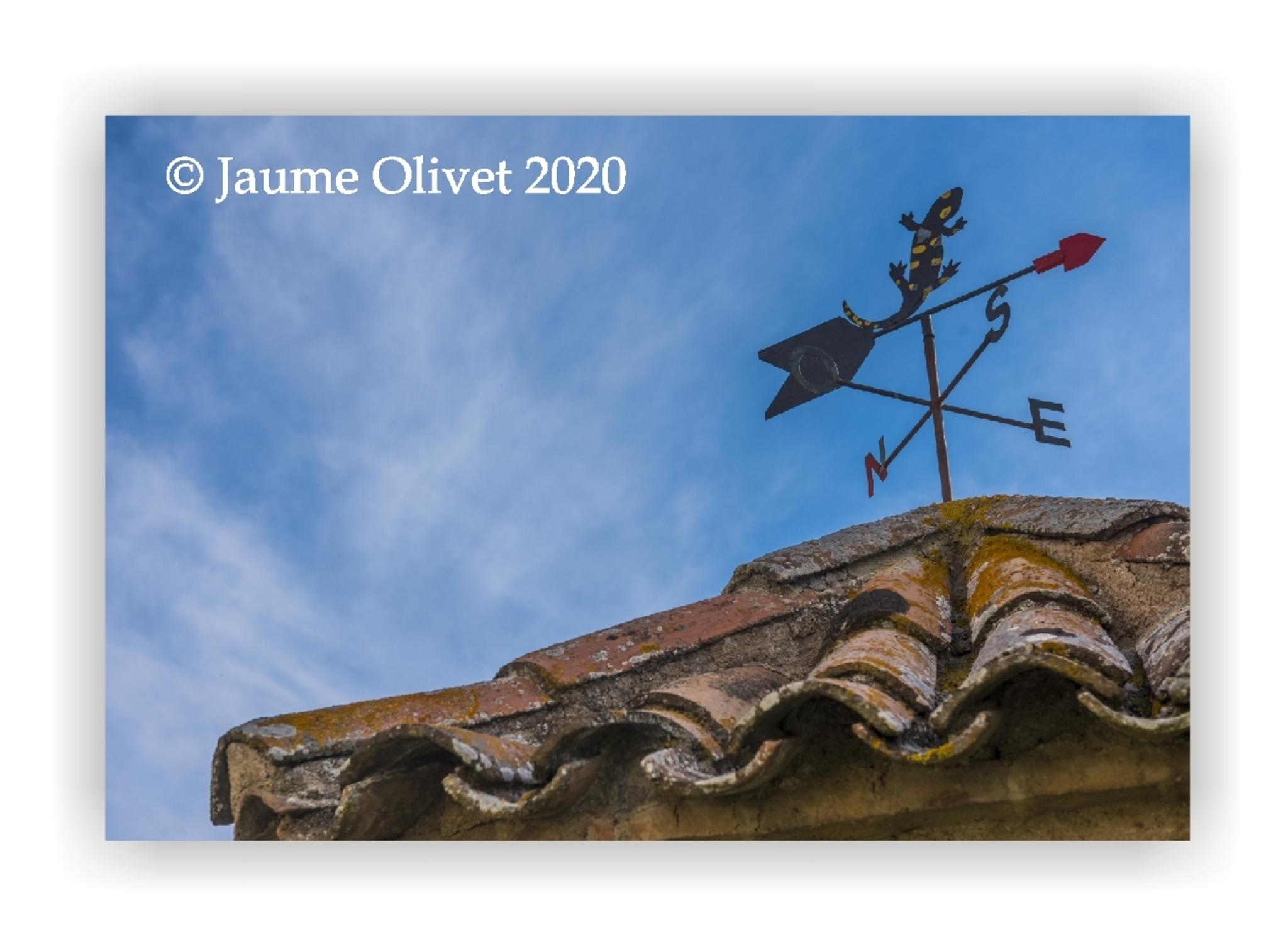  Jaume Olivet 2020