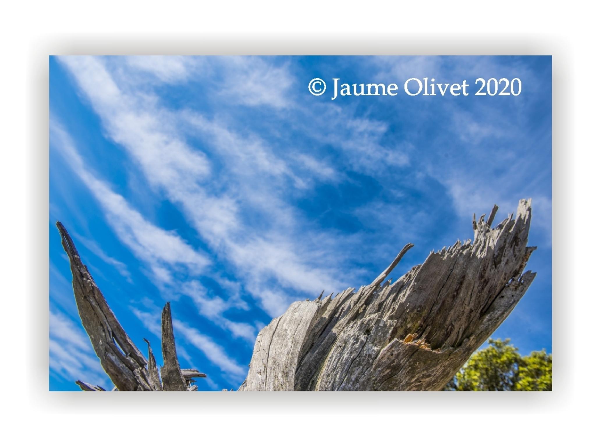  Jaume Olivet 2020