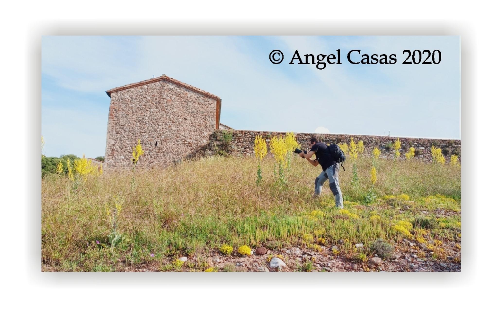  Angel Casas 2020