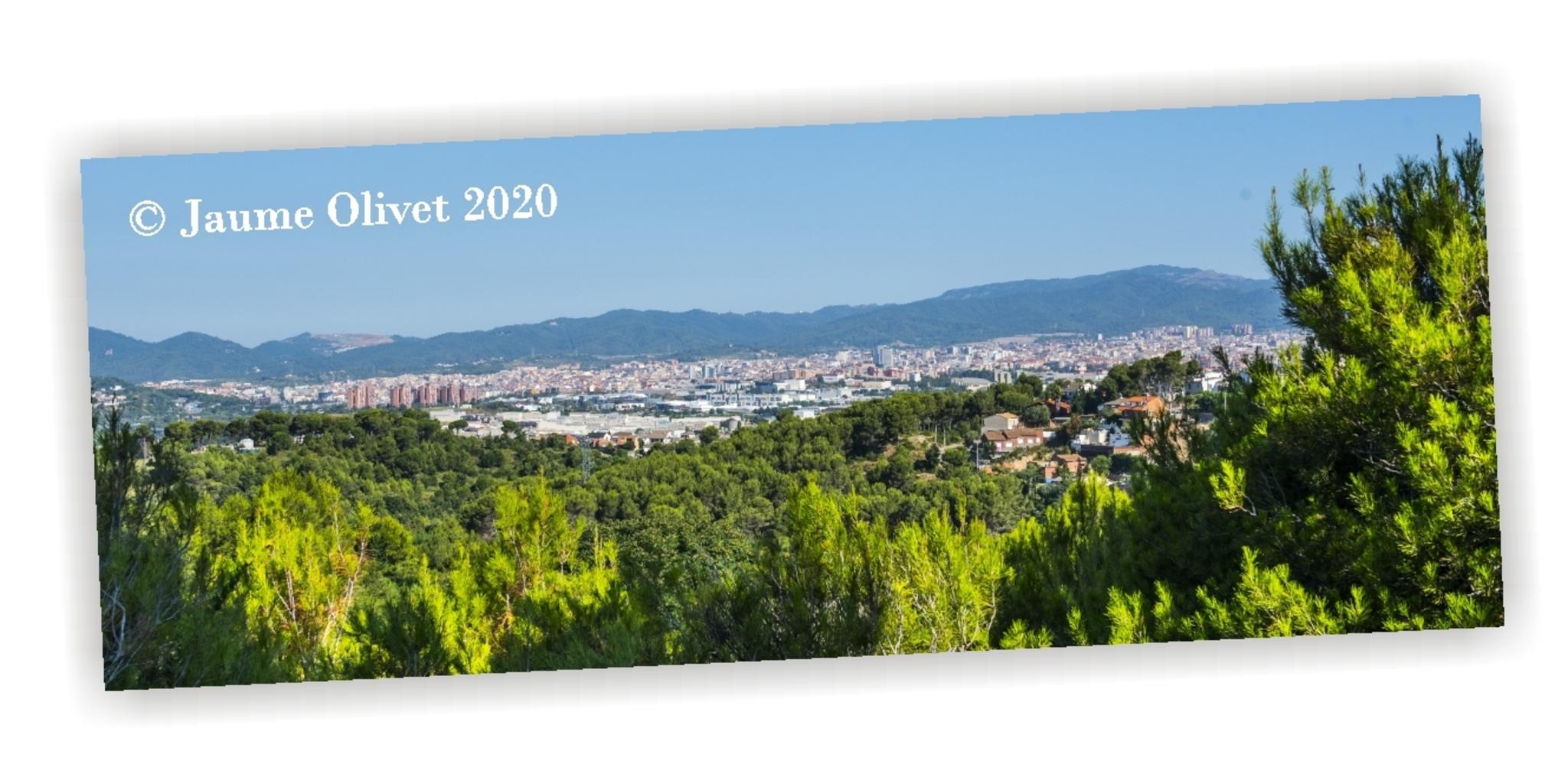 Jaume Olivet 2020