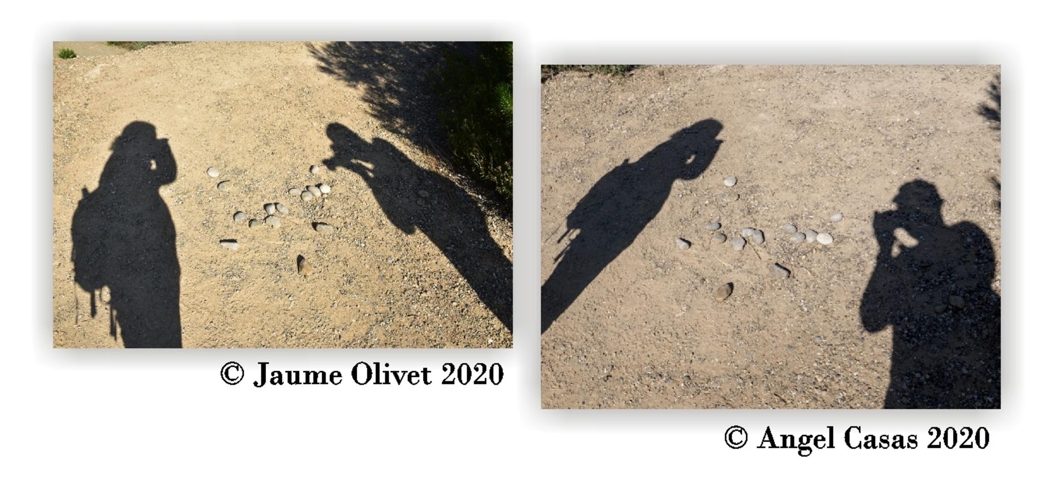  Jaume Olivet 2020