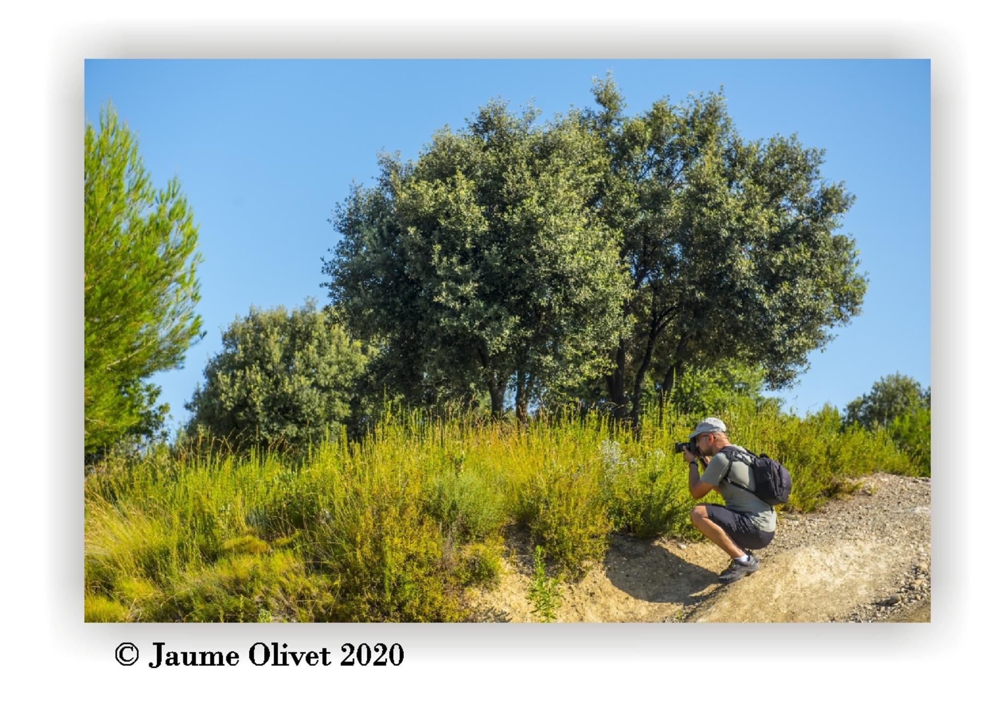  Jaume Olivet 2020