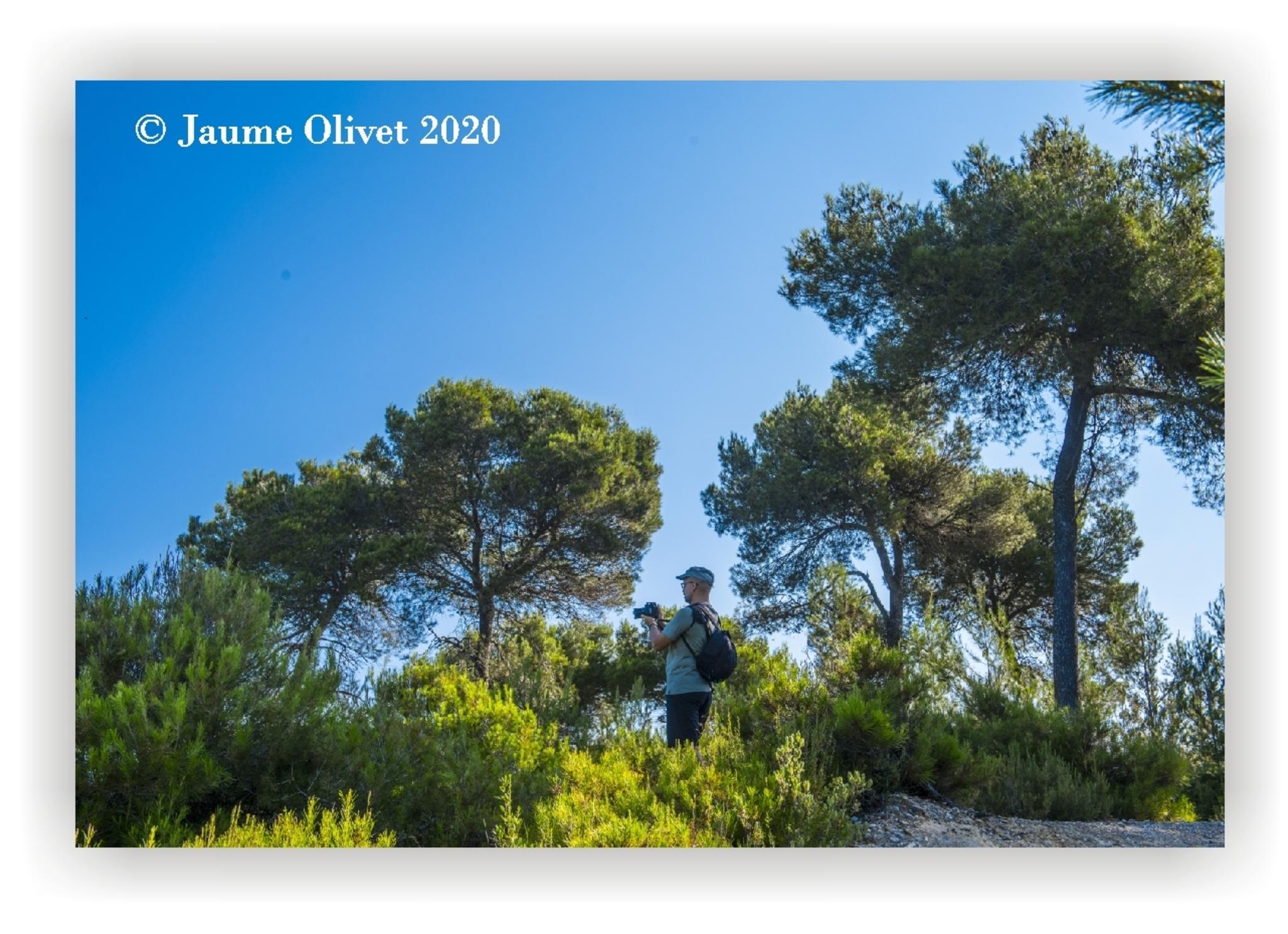  Jaume Olivet 2020