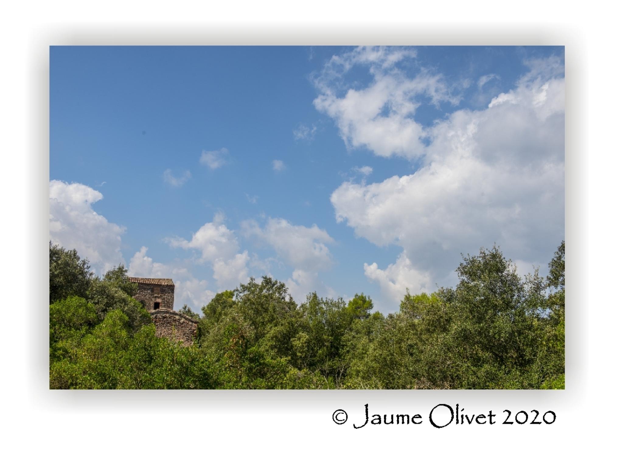  Jaume Olivet 2020