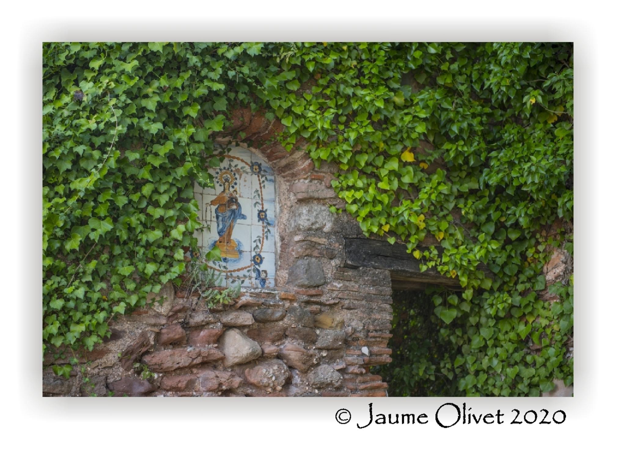  Jaume Olivet 2020