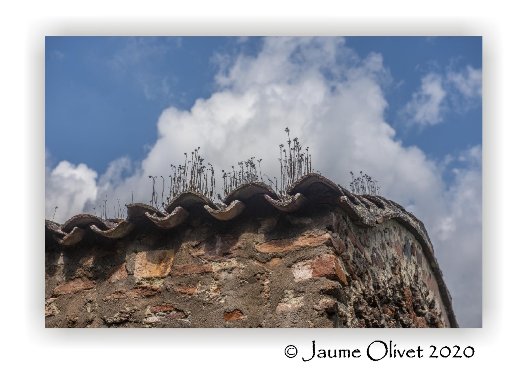  Jaume Olivet 2020