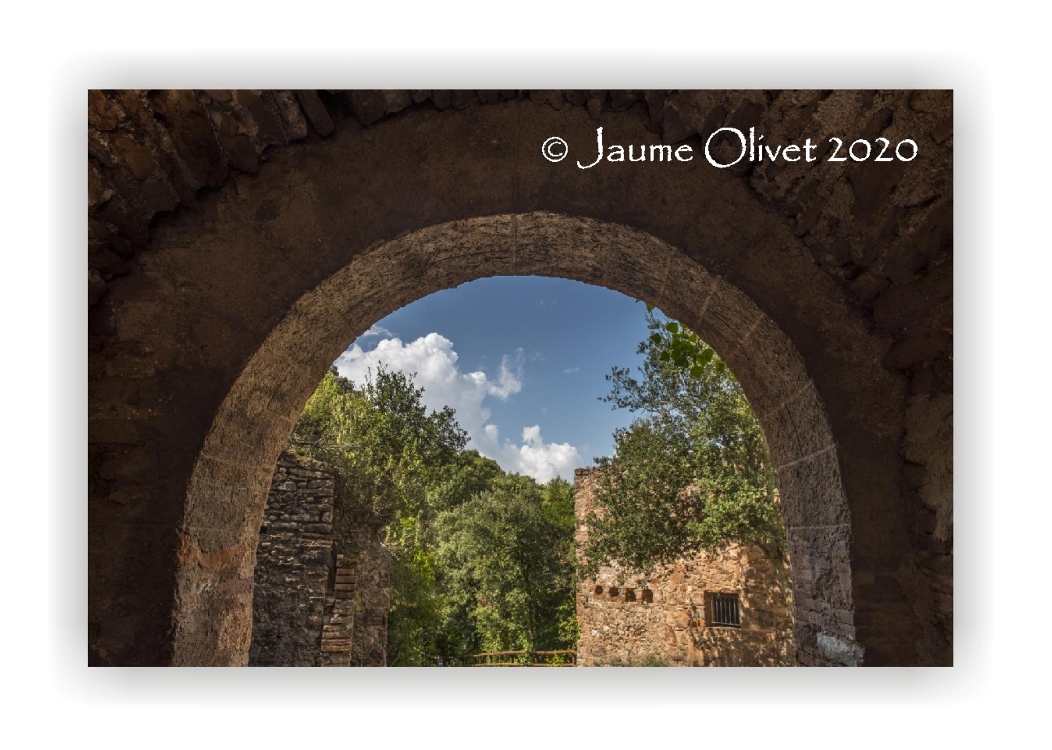  Jaume Olivet 2020