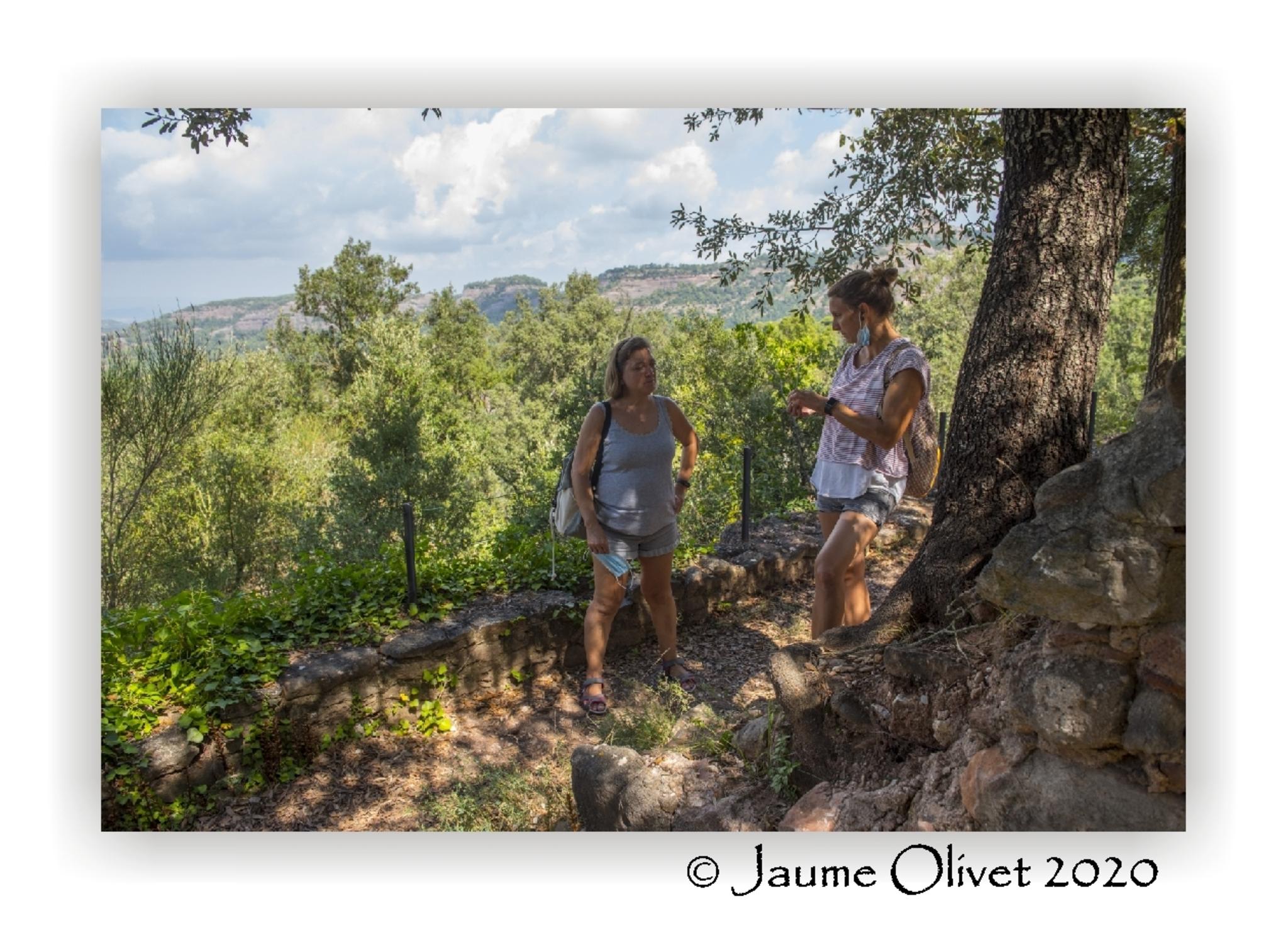  Jaume Olivet 2020