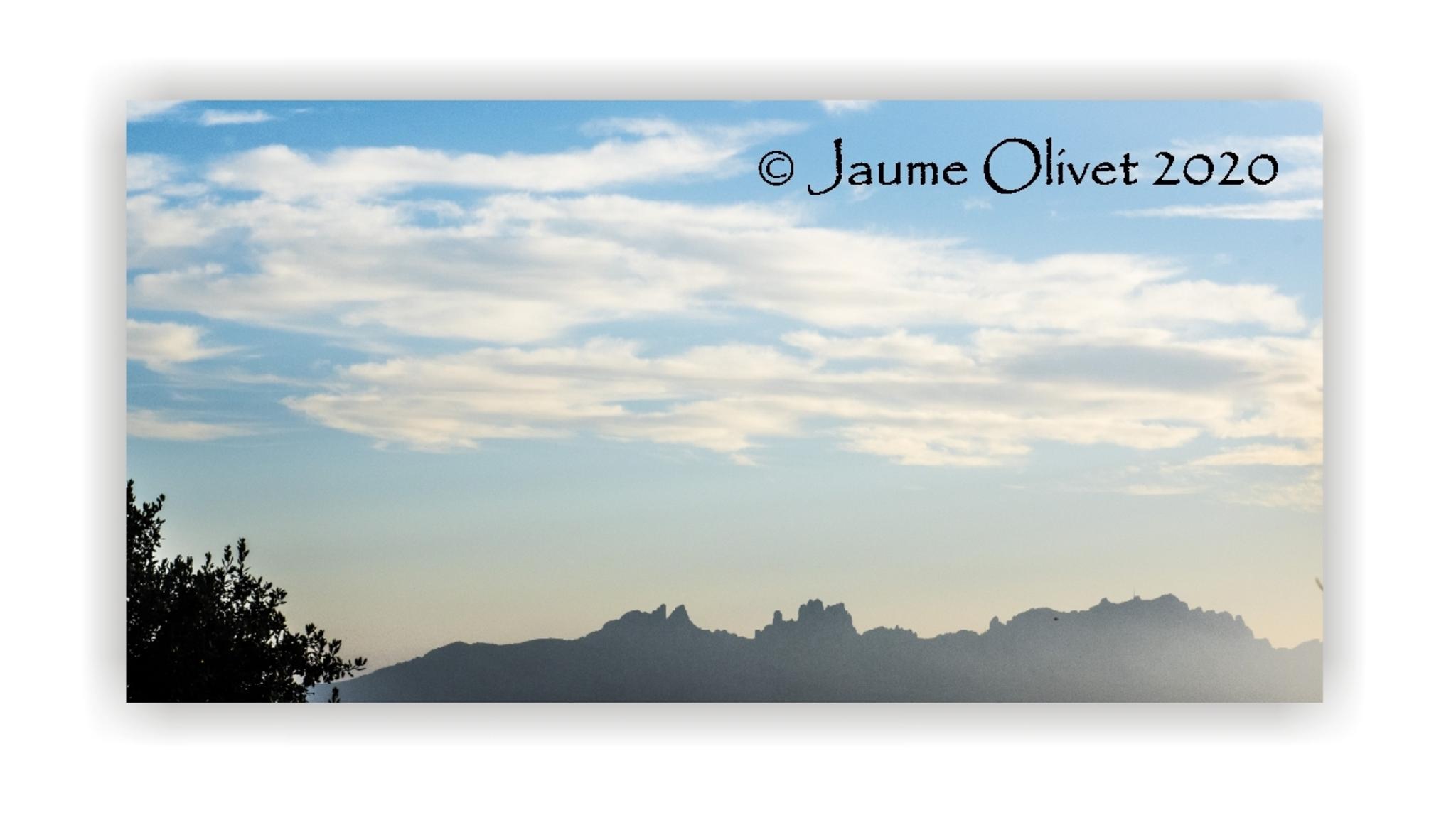  Jaume Olivet 2020