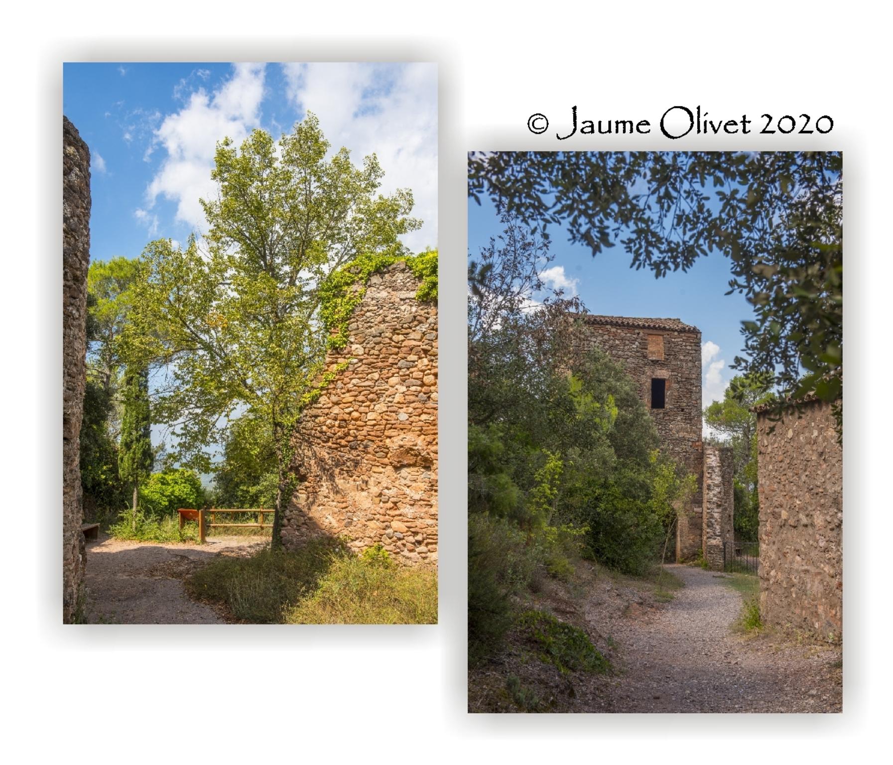  Jaume Olivet 2020
