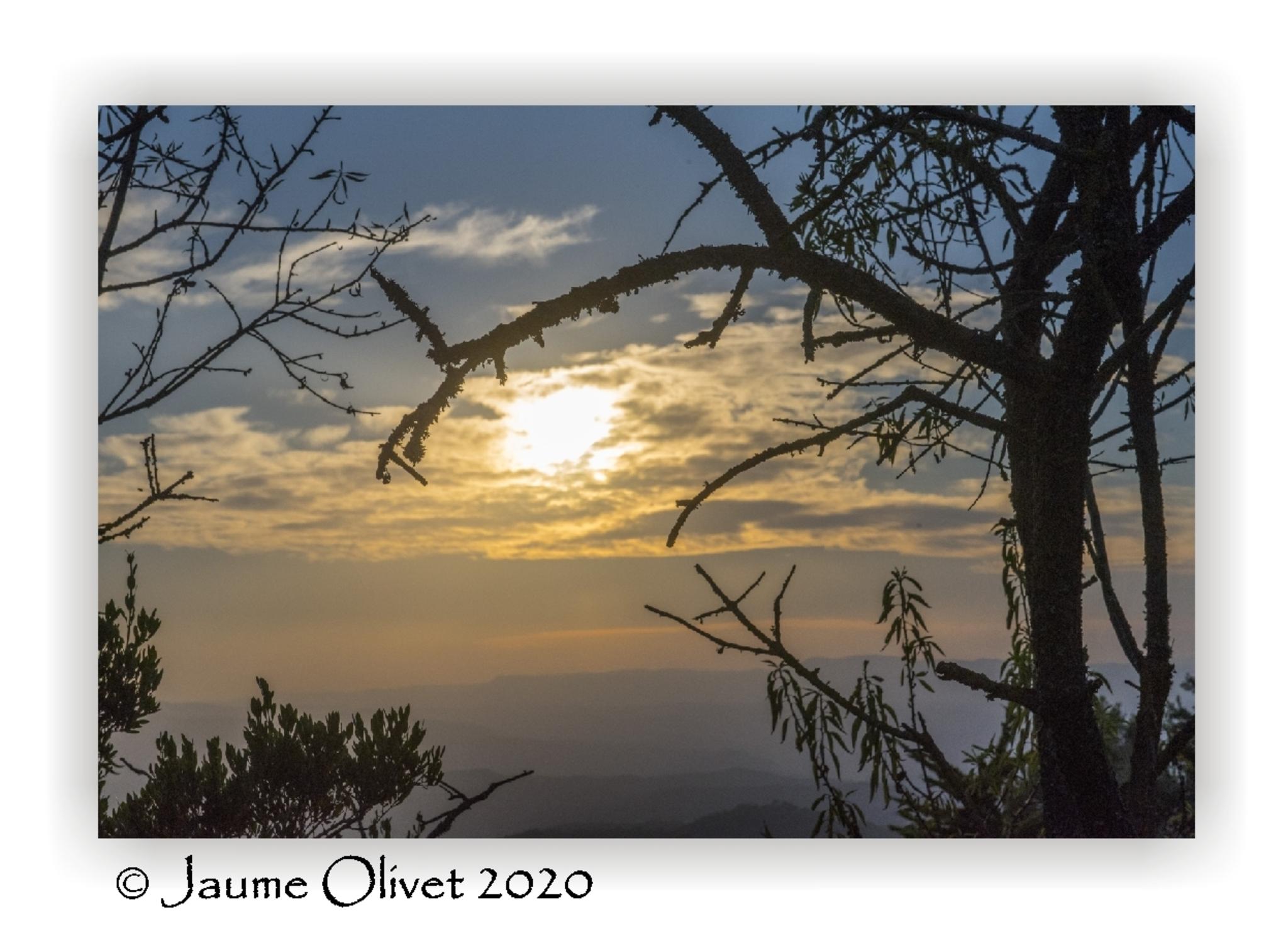  Jaume Olivet 2020