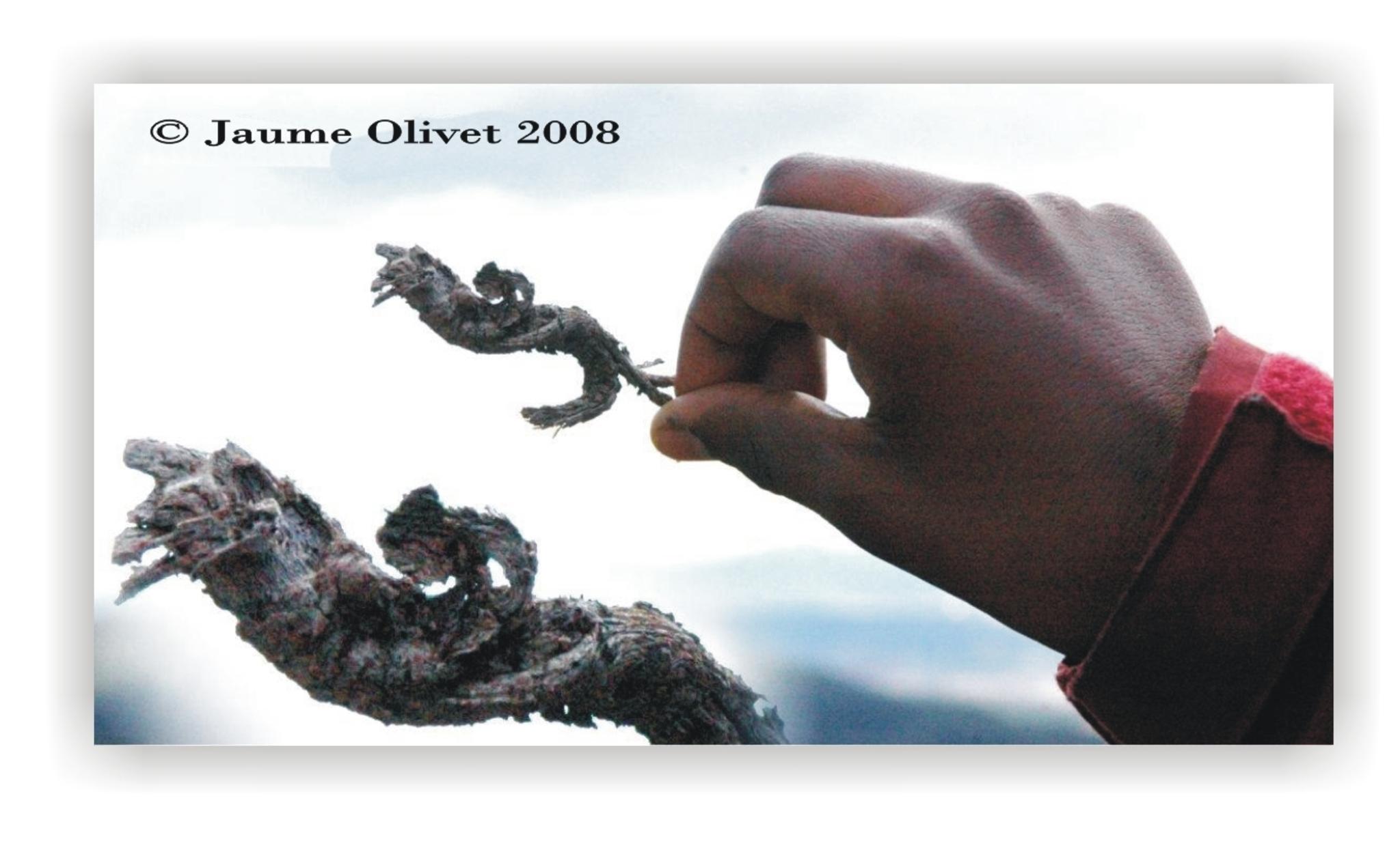  Jaume Olivet 2020