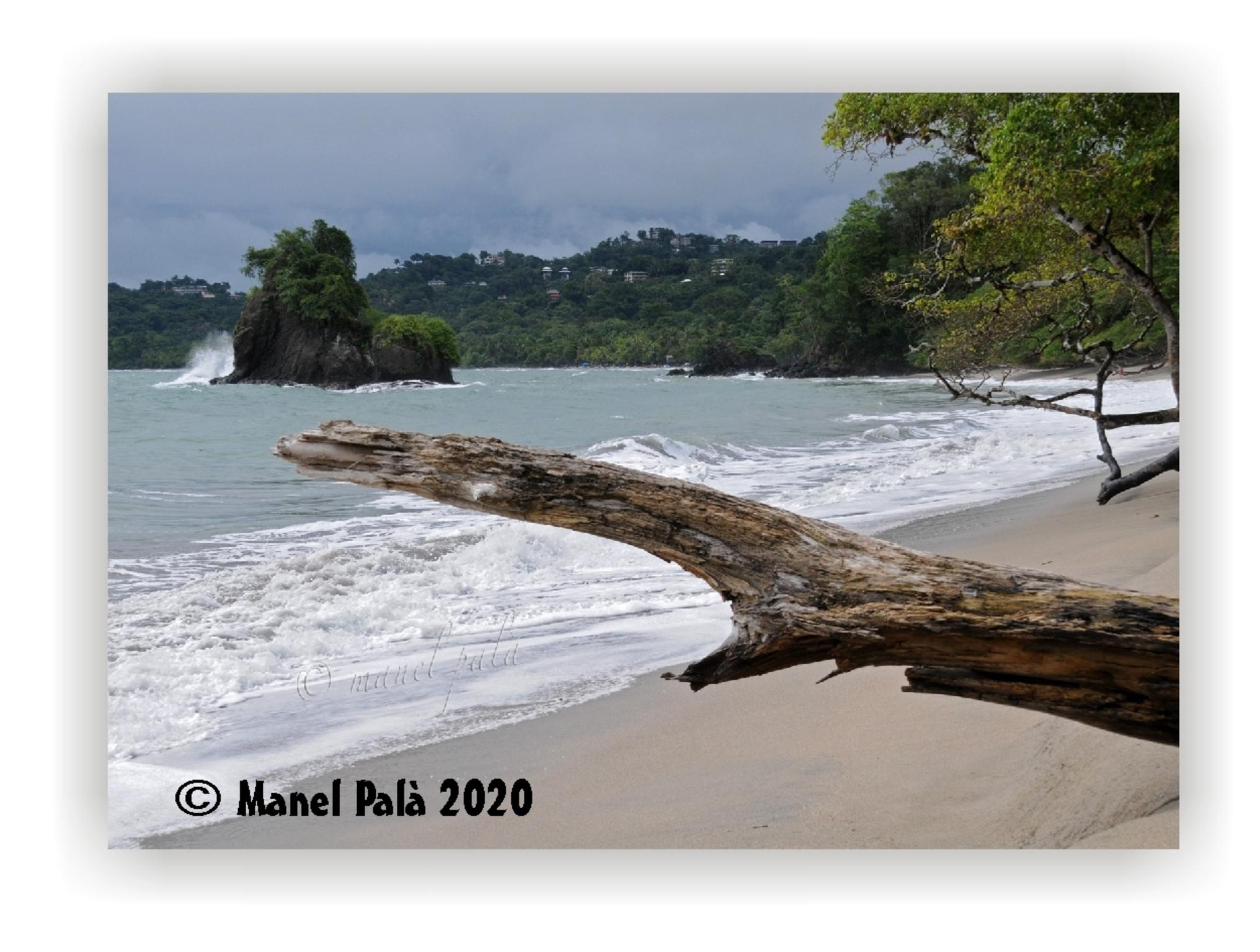  Manel Pal 2020