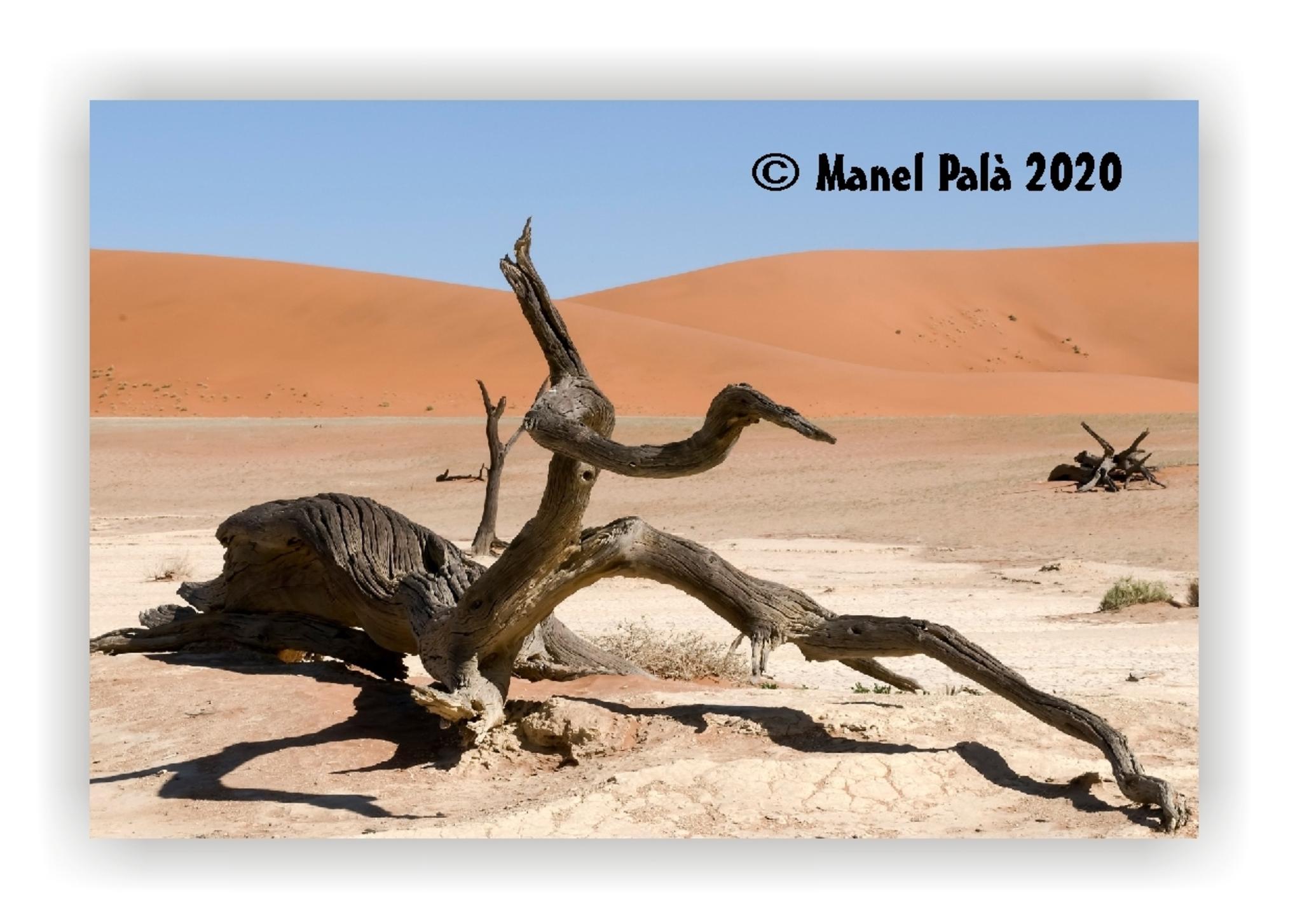  Manel Pal 2020