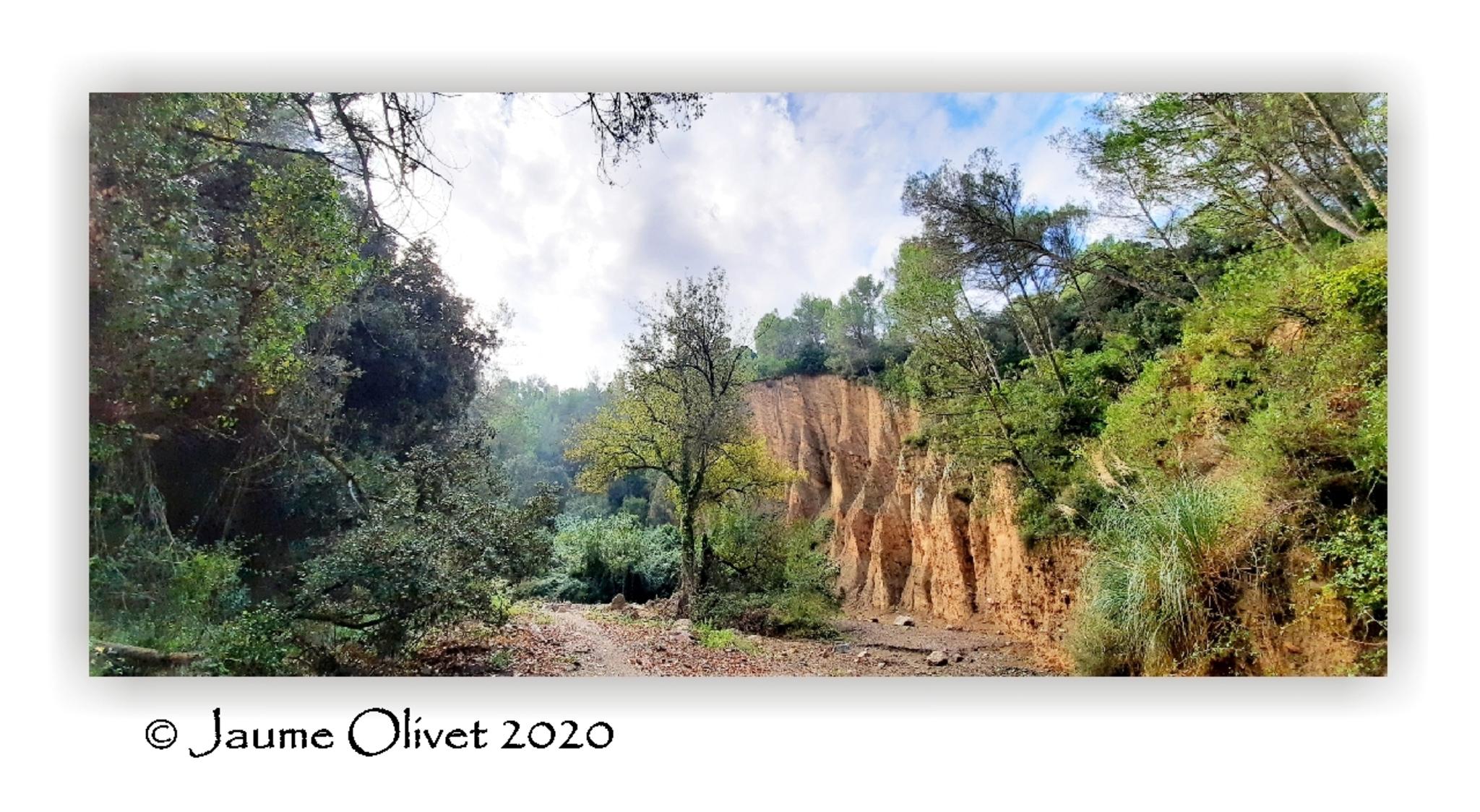  Jaume Olivet 2020