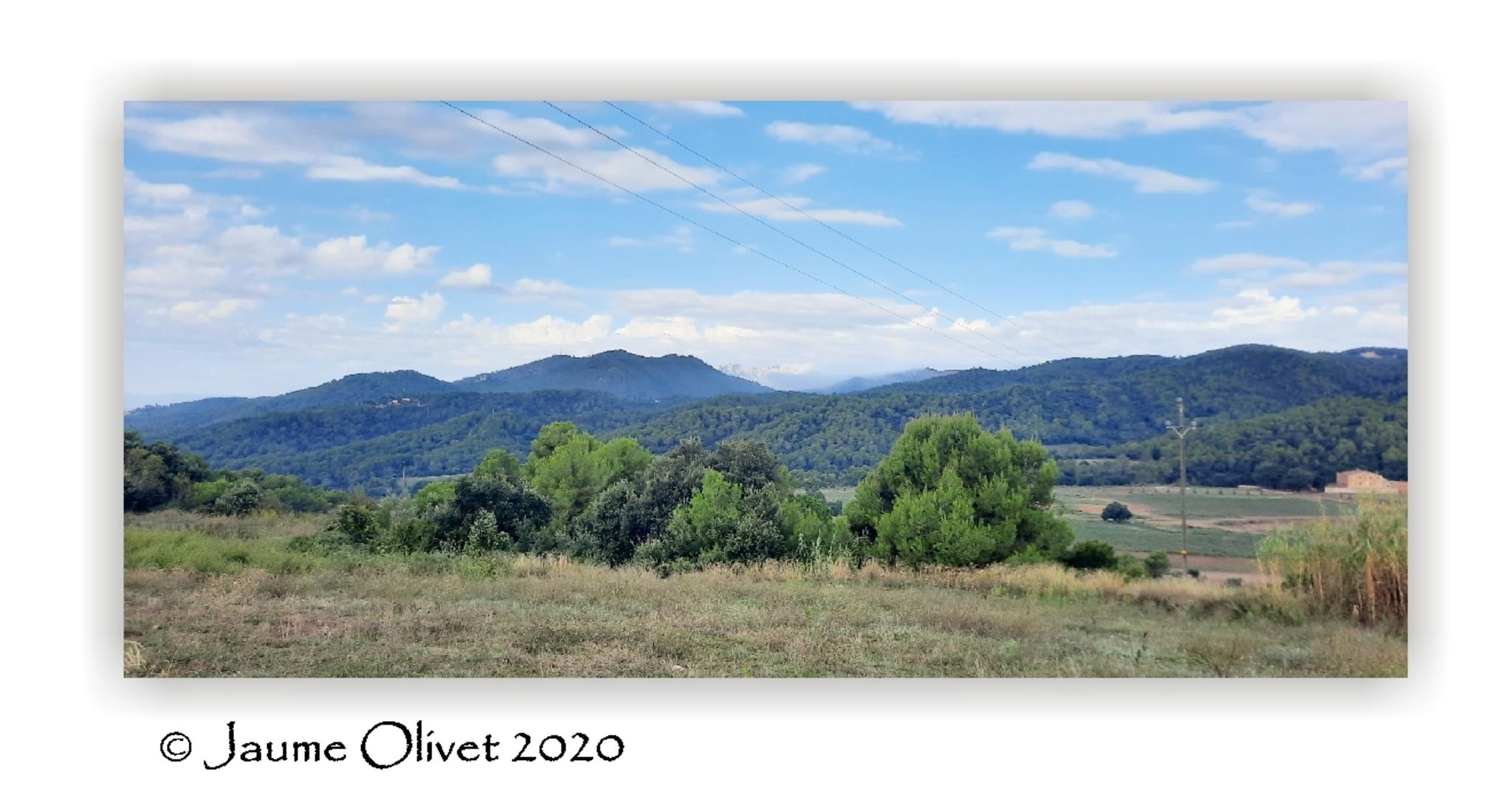  Jaume Olivet 2020