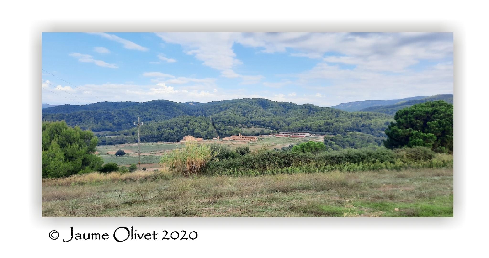  Jaume Olivet 2020