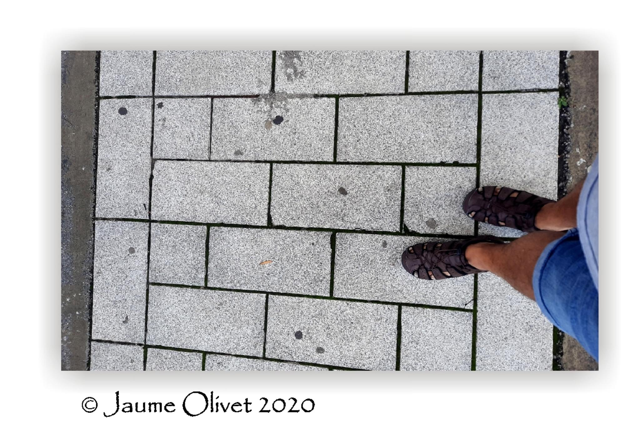  Jaume Olivet 2020