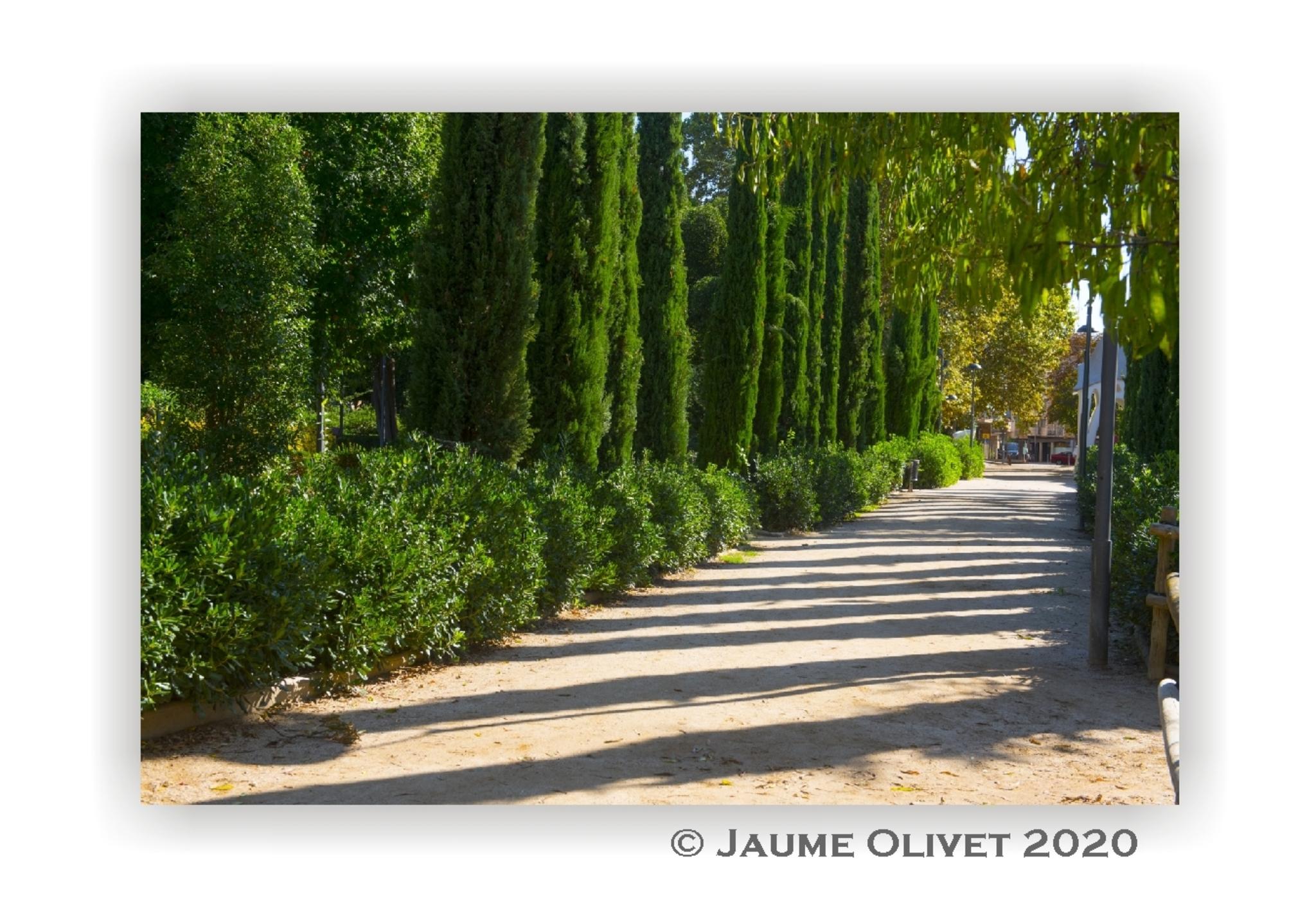  Jaume Olivet 2020